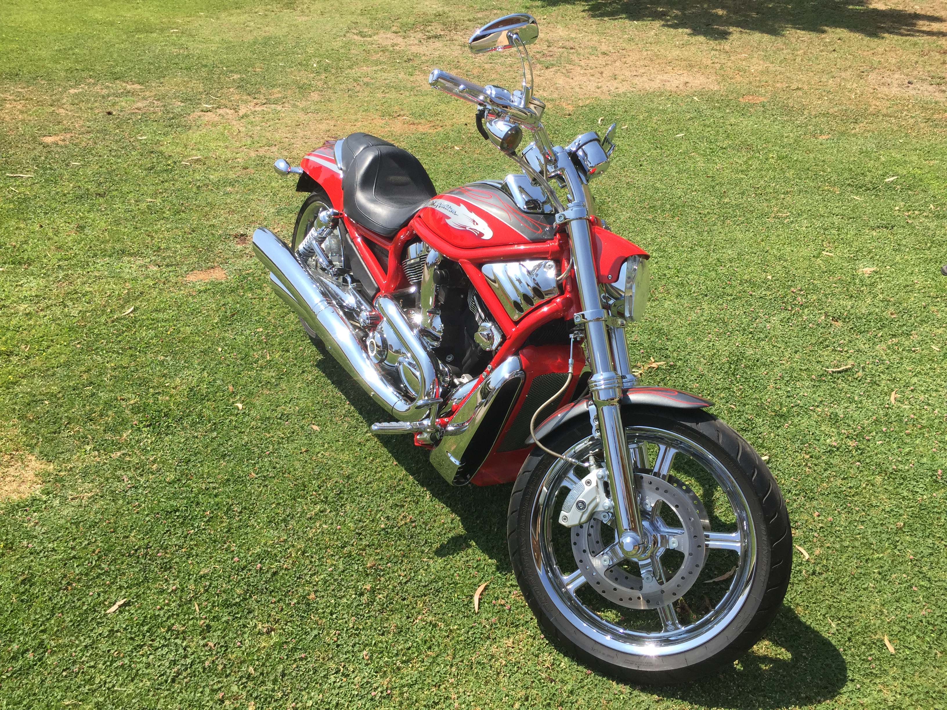 2006 HARLEY-DAVIDSON VRSCSE2 SCREAMIN' EAGLE V-ROD CRUISER 