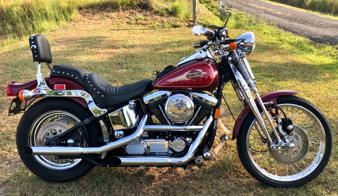1995 HARLEY-DAVIDSON SOFTAIL SPRINGER