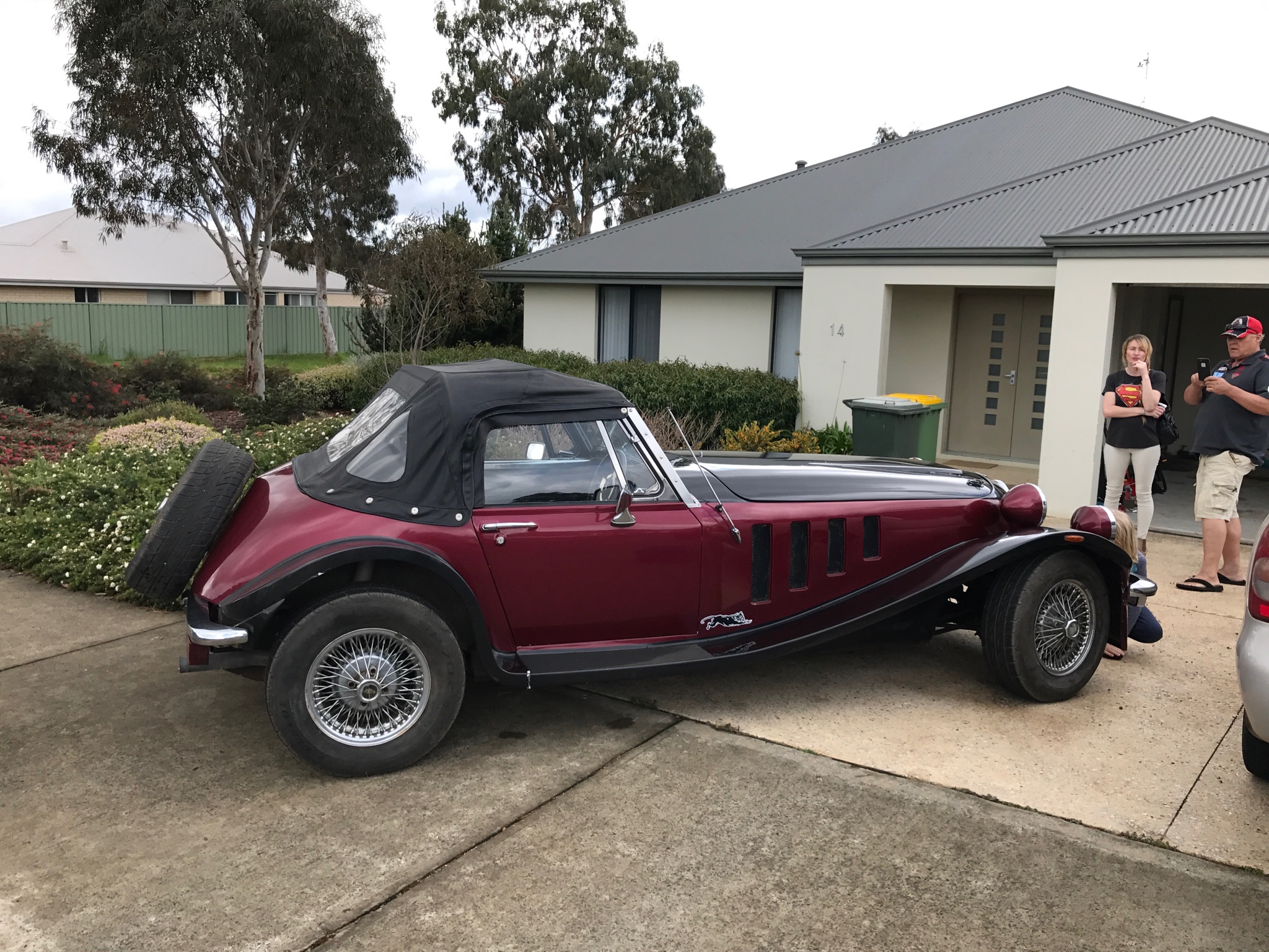 1981 PANTHER LIMA TURBO 2D CABRIOLET 