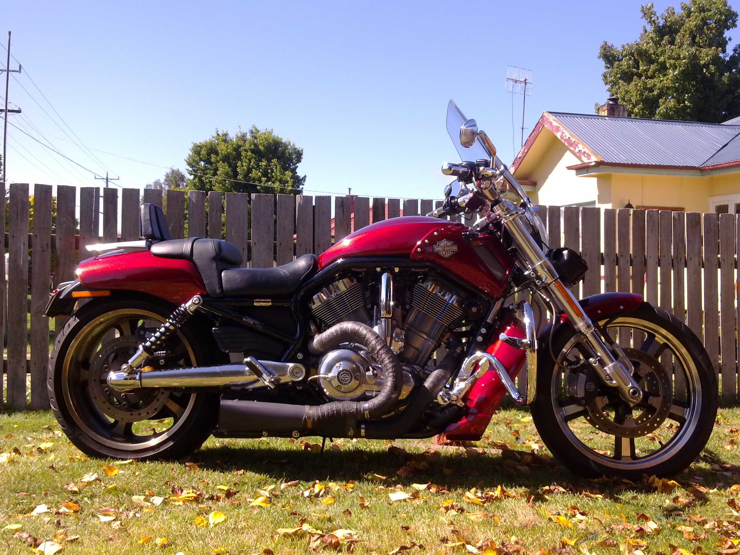 2010 HARLEY DAVIDSON V ROD MUSCLE SUPER PRO STOCK