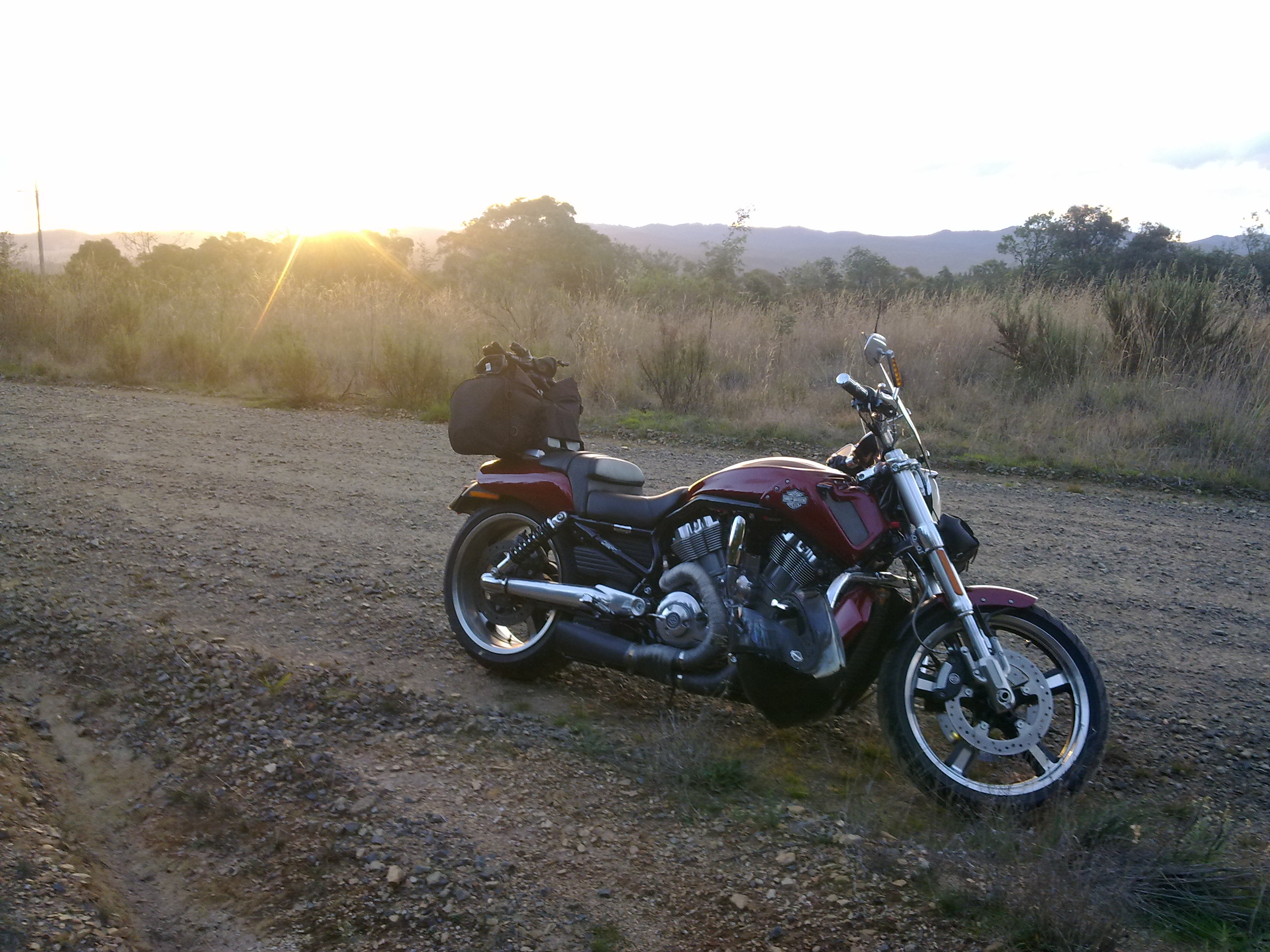 2010 HARLEY DAVIDSON V ROD MUSCLE SUPER PRO STOCK