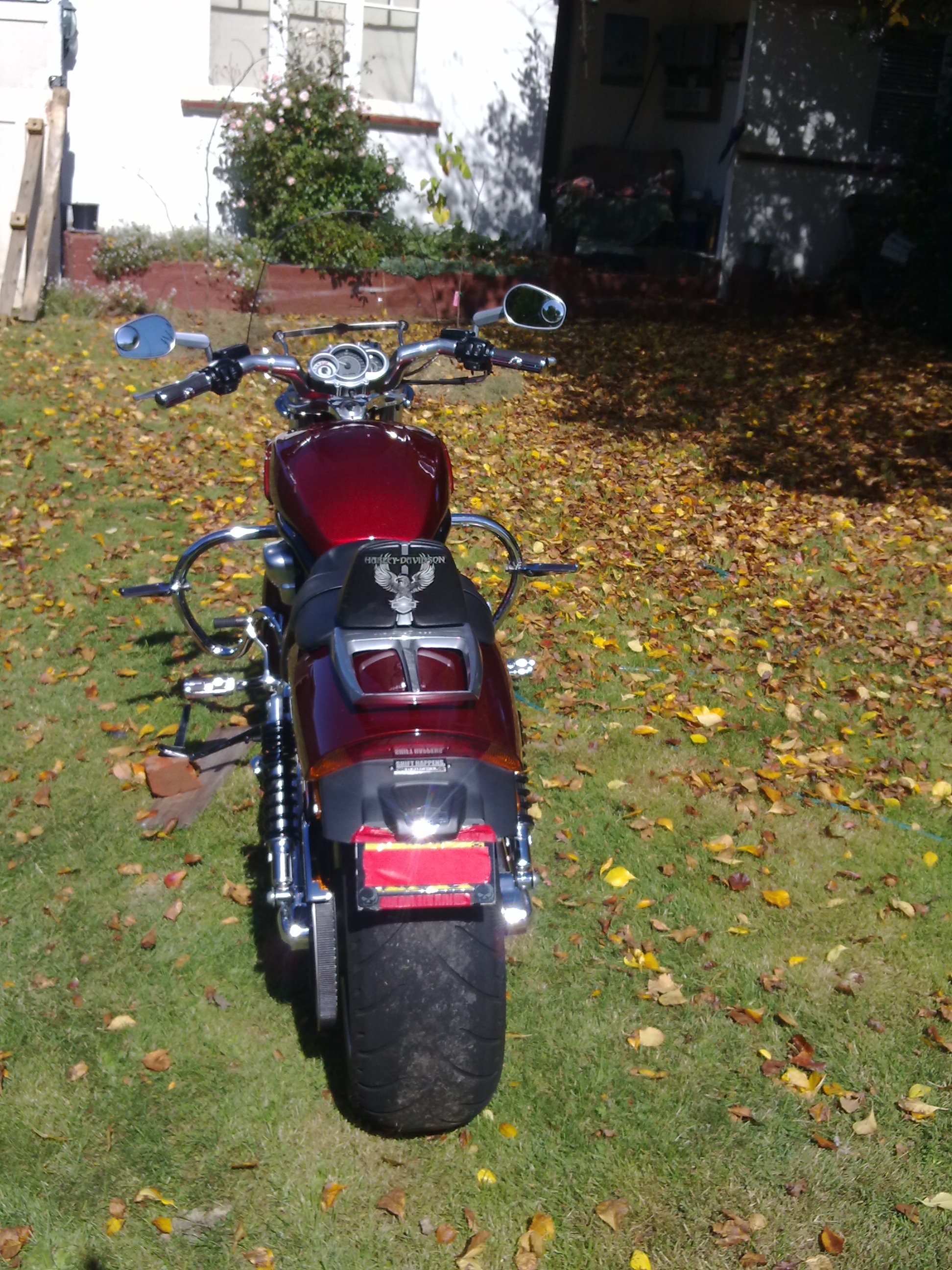 2010 HARLEY DAVIDSON V ROD MUSCLE SUPER PRO STOCK