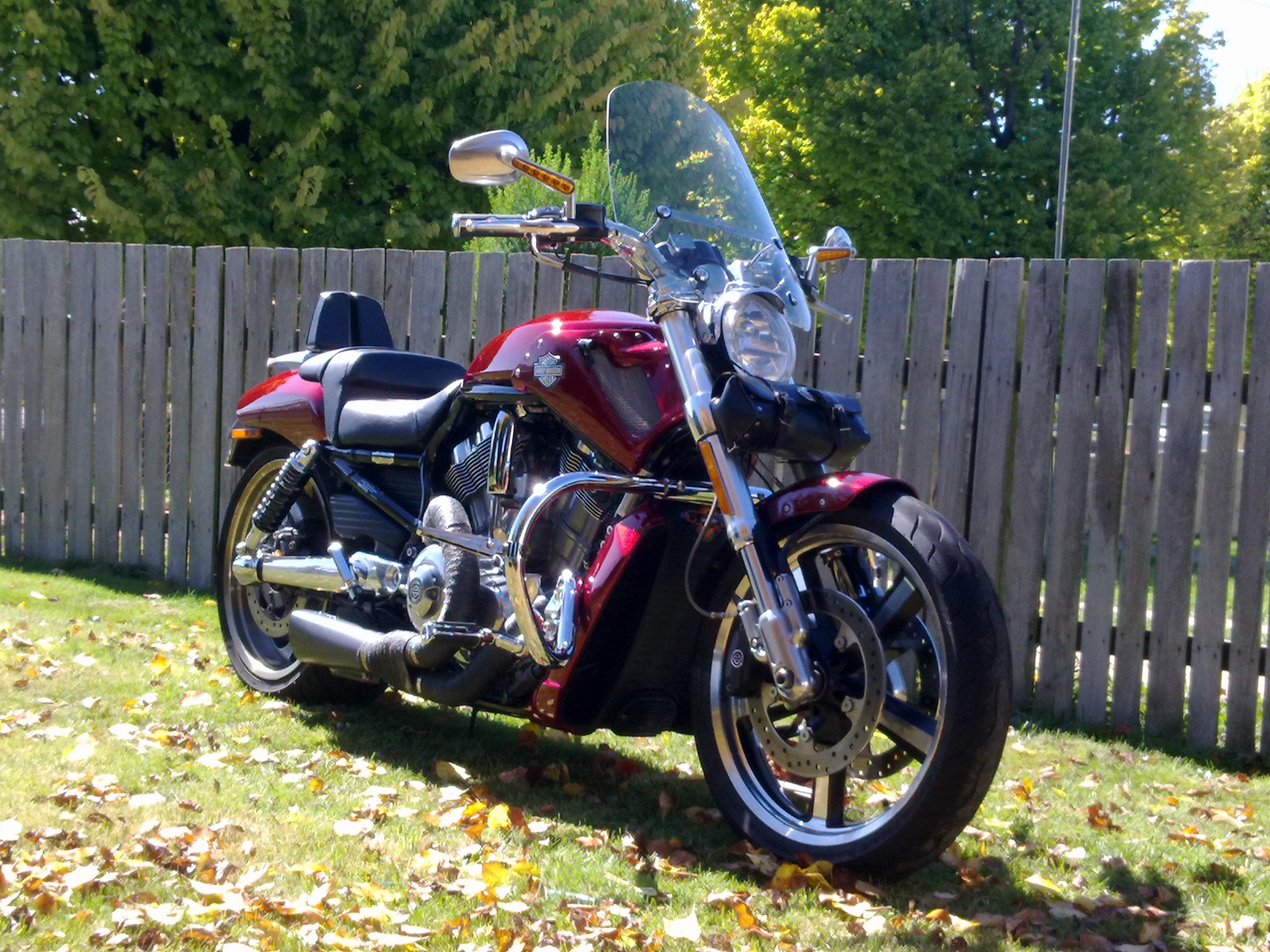 2010 HARLEY DAVIDSON V ROD MUSCLE SUPER PRO STOCK