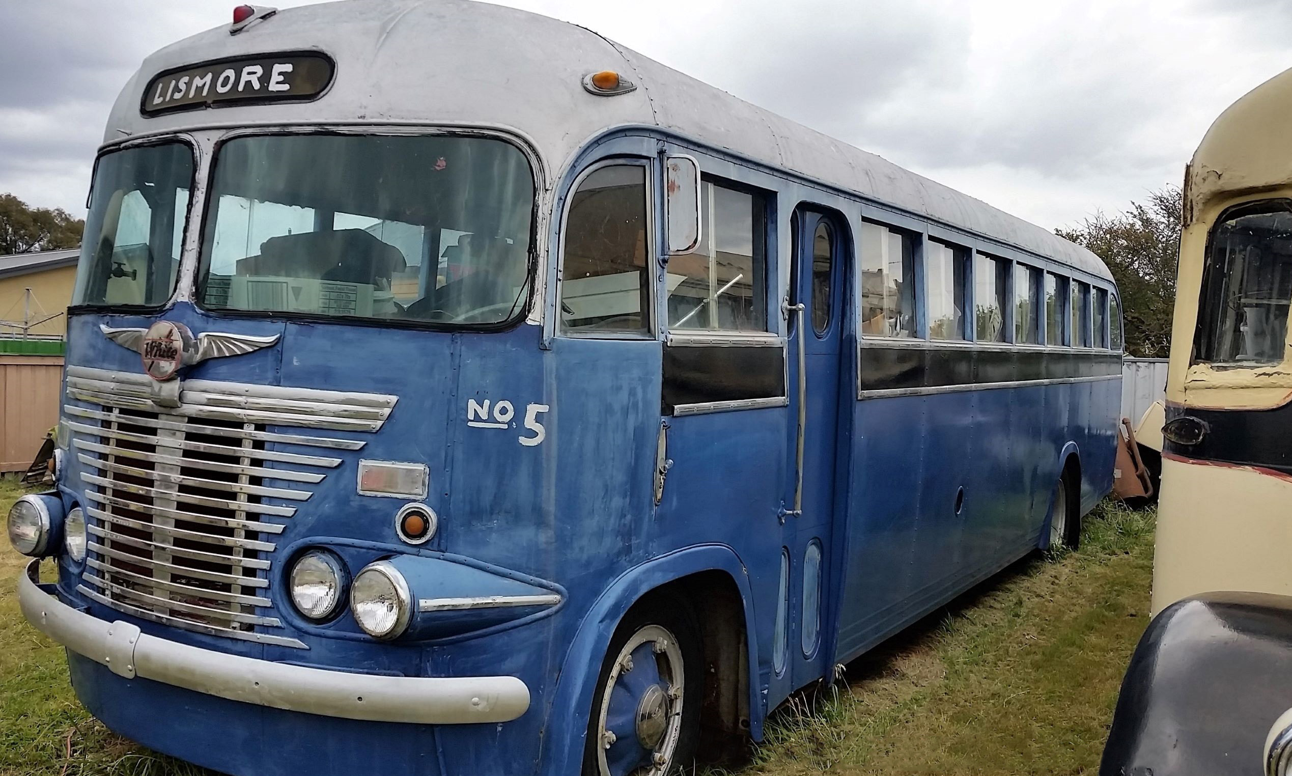 1954 WHITE WB22 LUXURY LISMORE DIESEL COACH vintage BUS