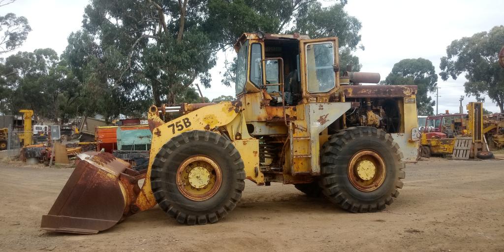 Michigan 75B Loader
