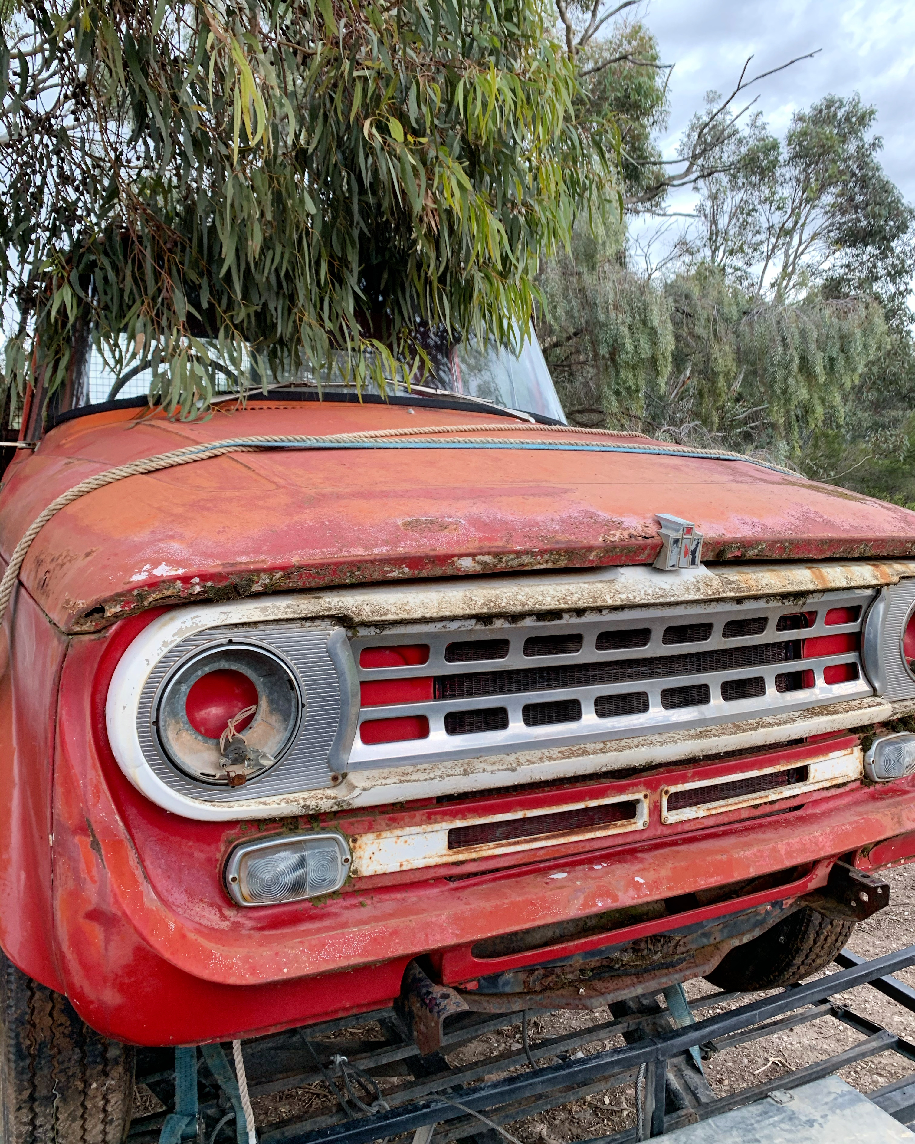 1970 INTERNATIONAL C1300 CAB & TRAY ONLY