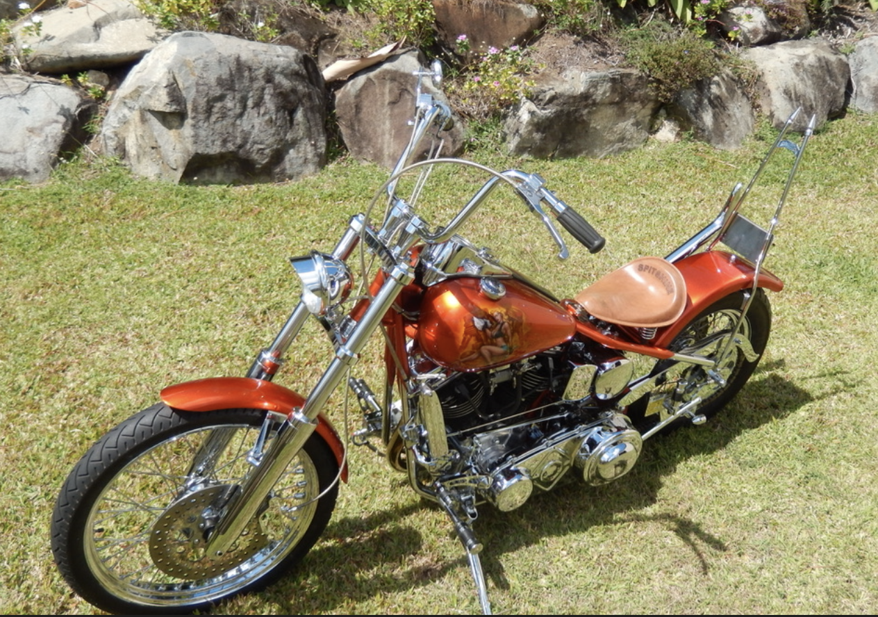 1960 HARLEY DAVIDSON FL DUO GLIDE PANHEAD CUSTOM CRUISER