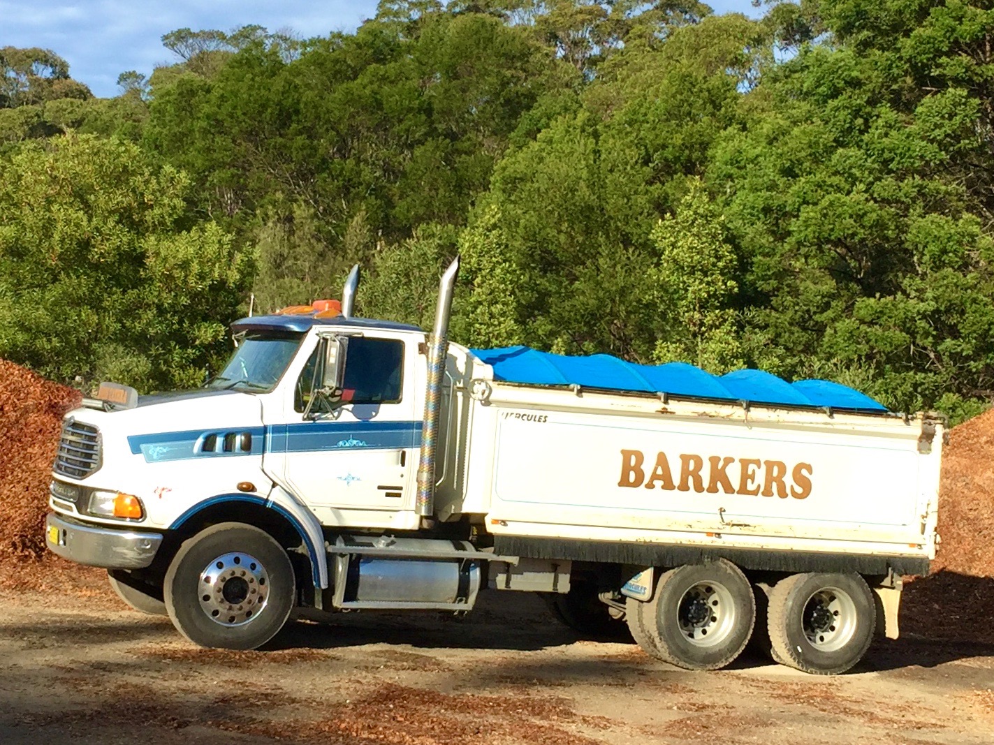 2006 STERLING LT 9500 TIPPER