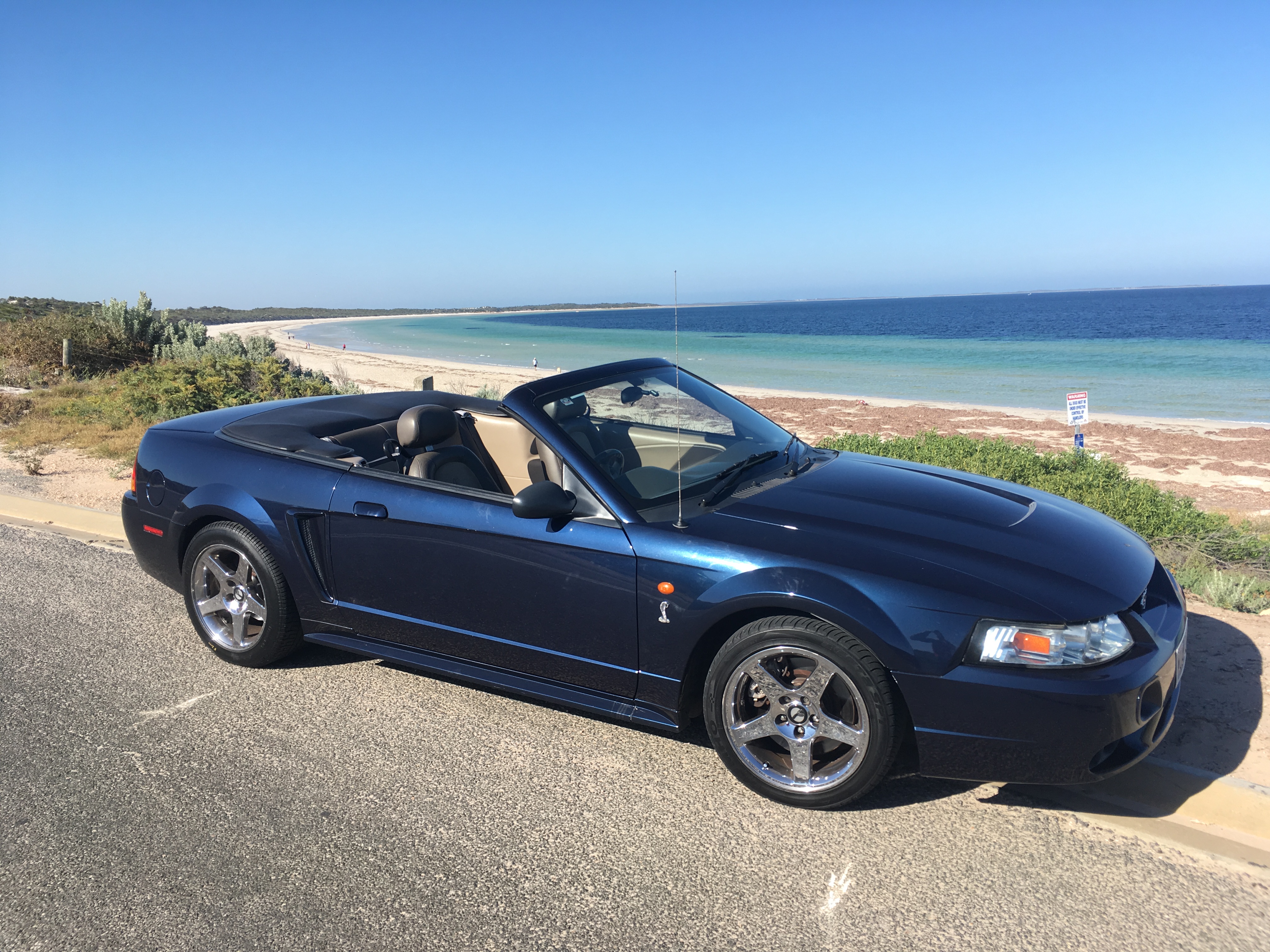 2002 FORD MUSTANG COBRA CONVERTIBLE 