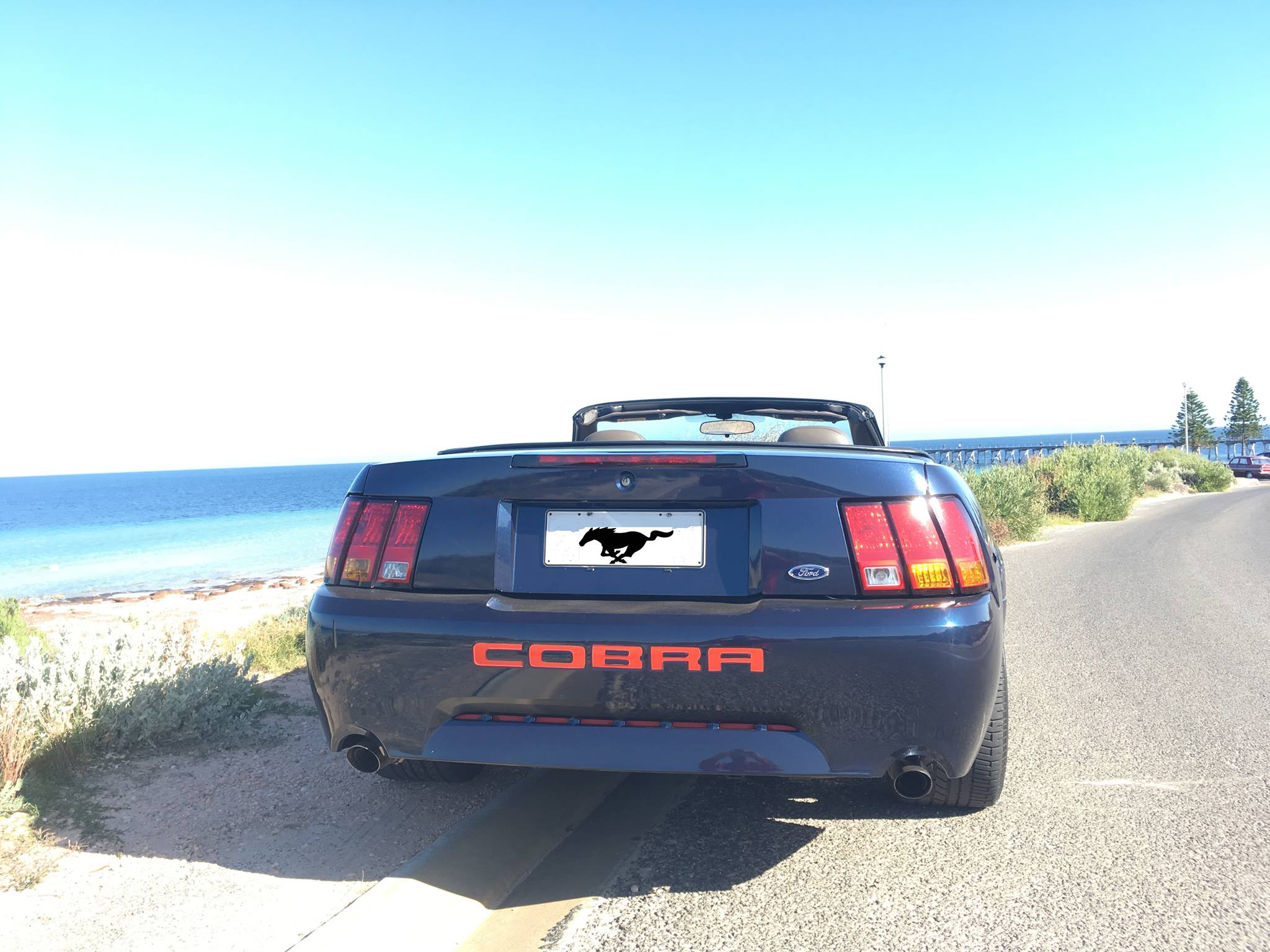 2002 FORD MUSTANG COBRA CONVERTIBLE 