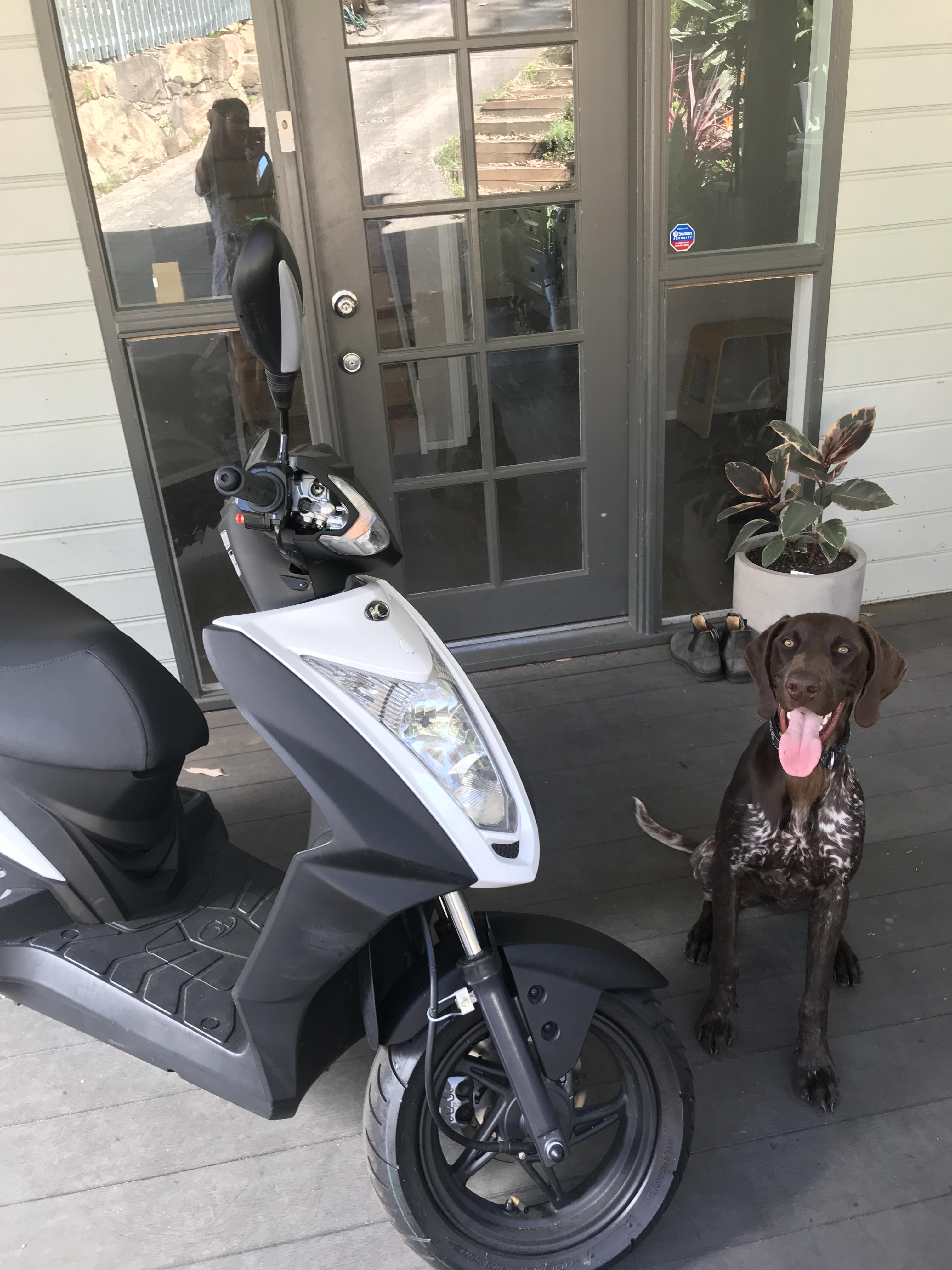 2019 KYMCO AGILITY 125 SCOOTER