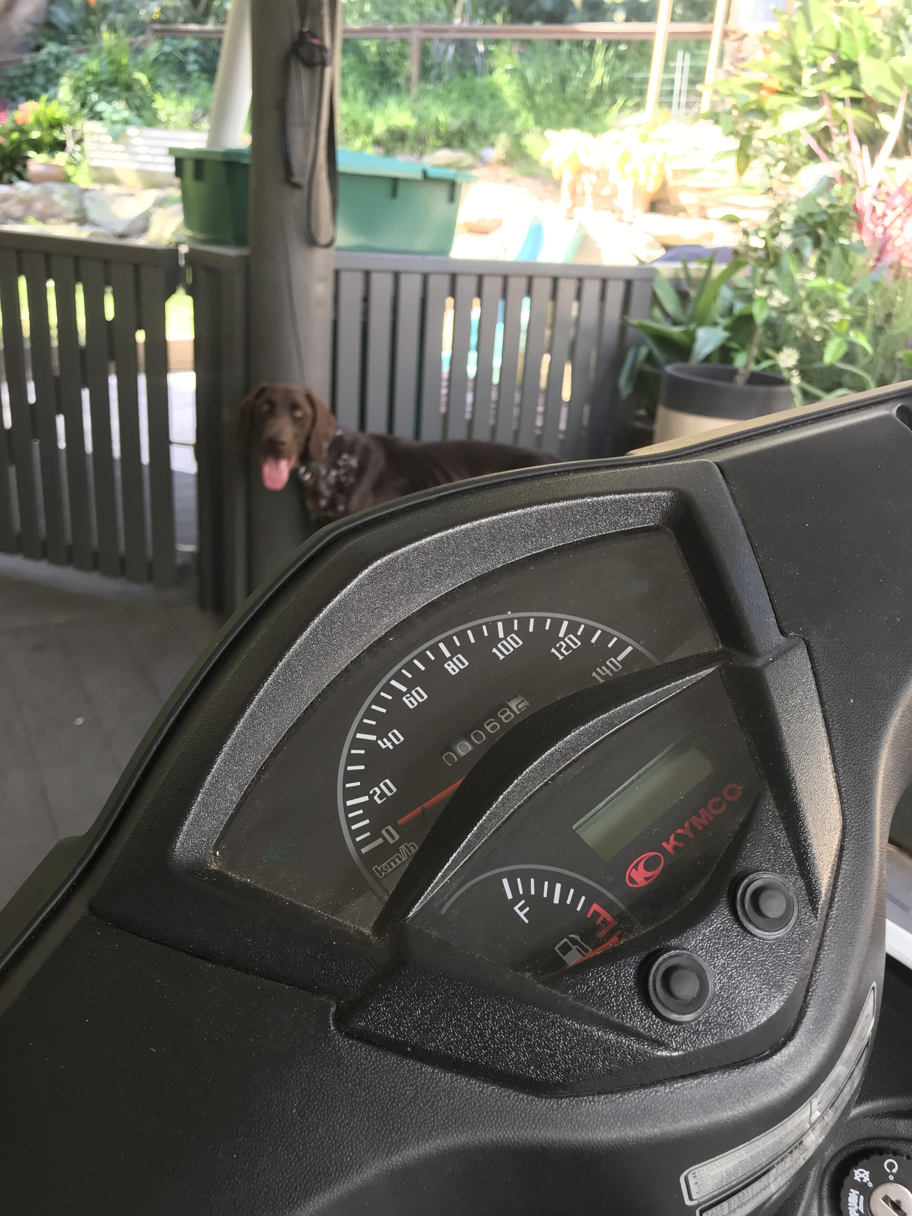 2019 KYMCO AGILITY 125 SCOOTER