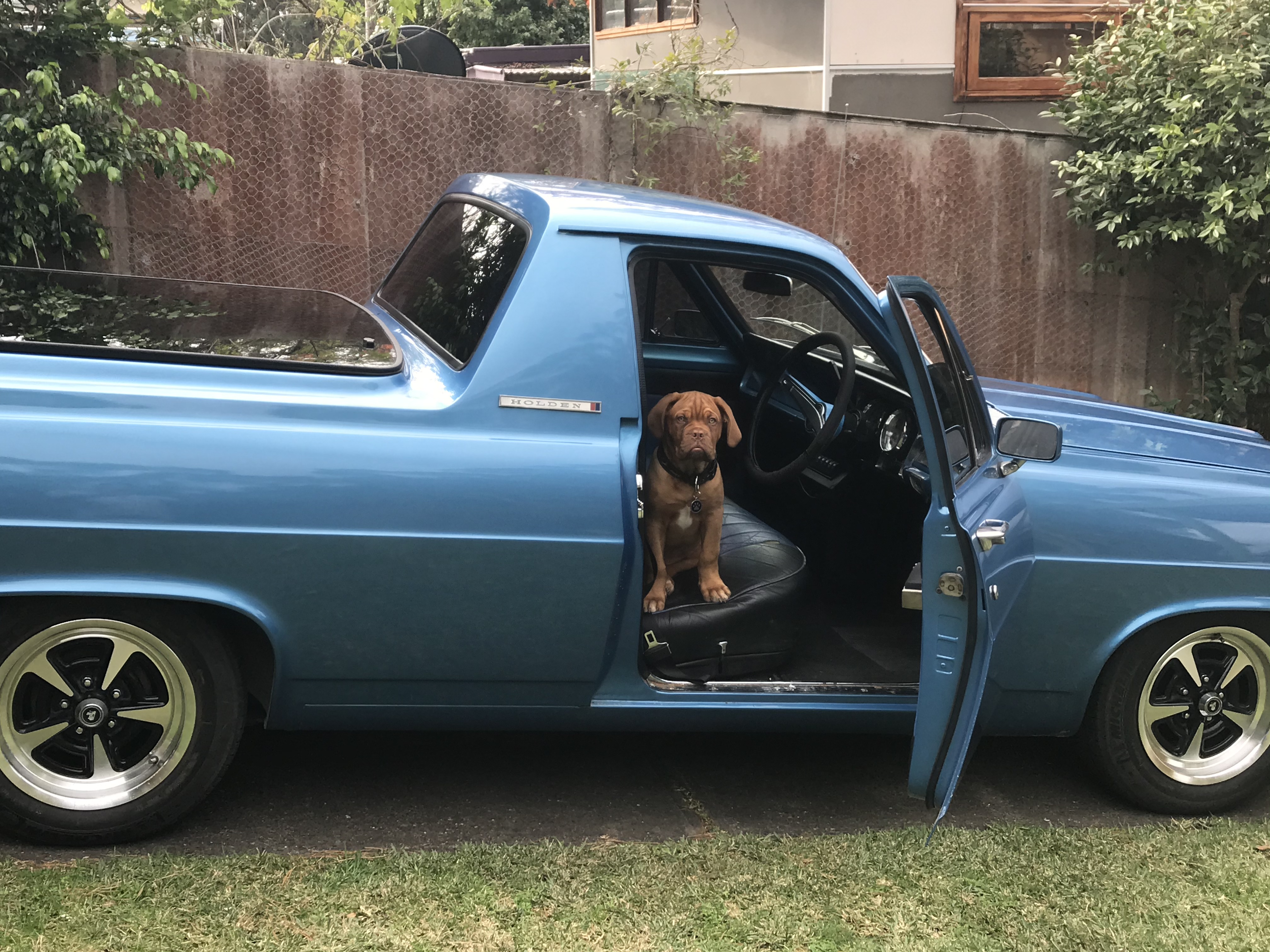 1966 HOLDEN HR UTE