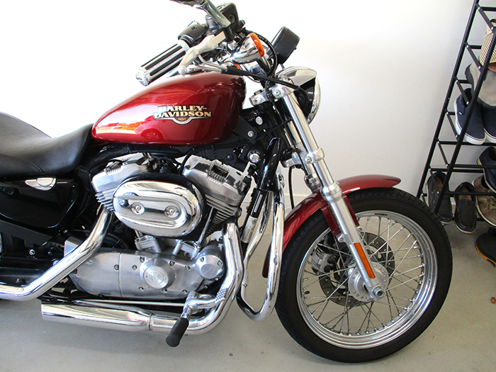 2009 HARLEY DAVIDSON XL883L SPORTSTER LOW CRUISER