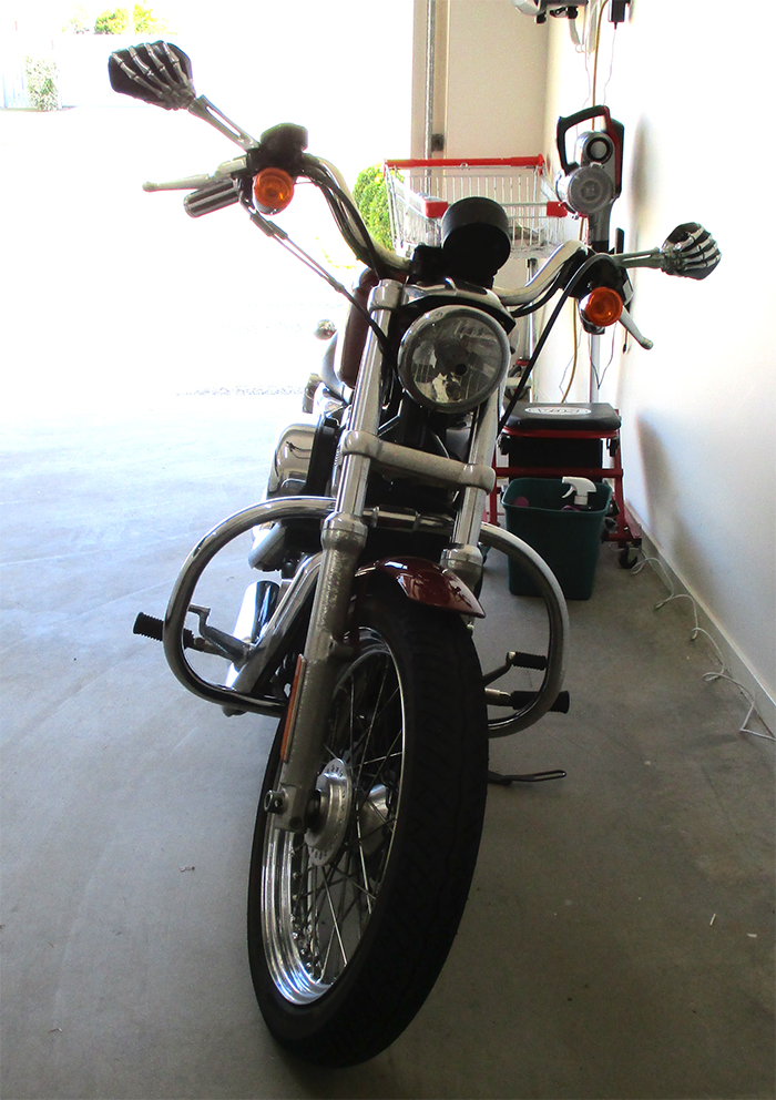 2009 HARLEY DAVIDSON XL883L SPORTSTER LOW CRUISER