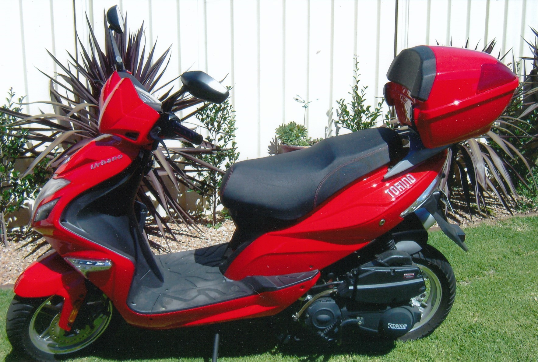 2019 TORINO URBANO 125CC SCOOTER