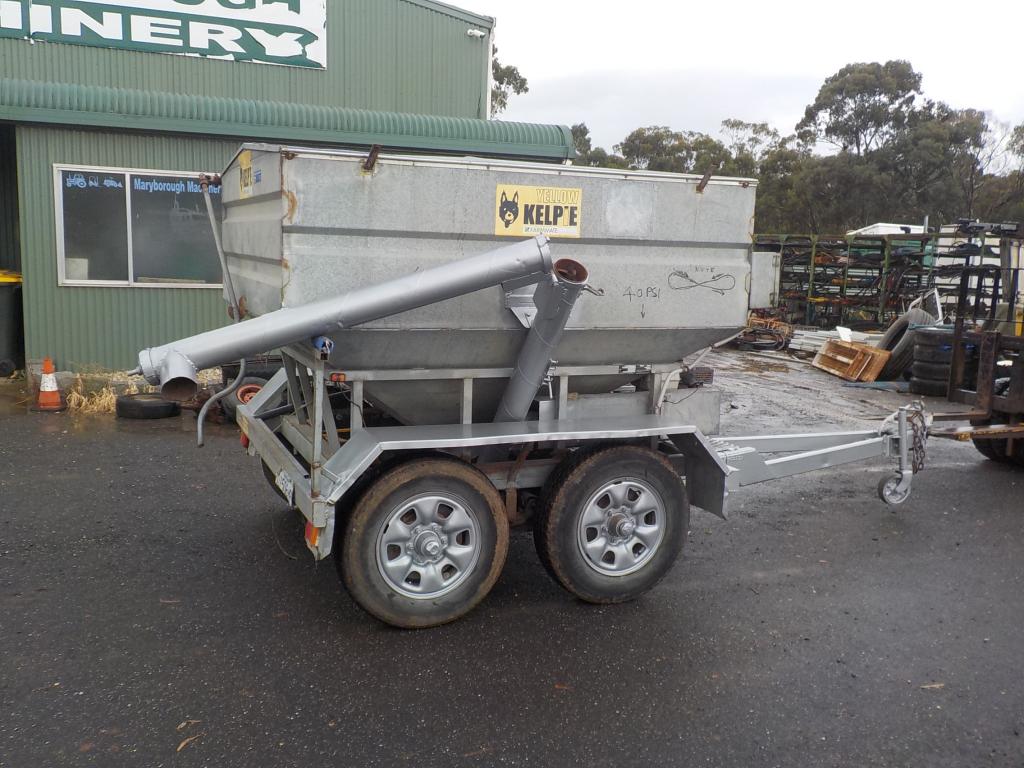 Sheep/Feeder Grouper