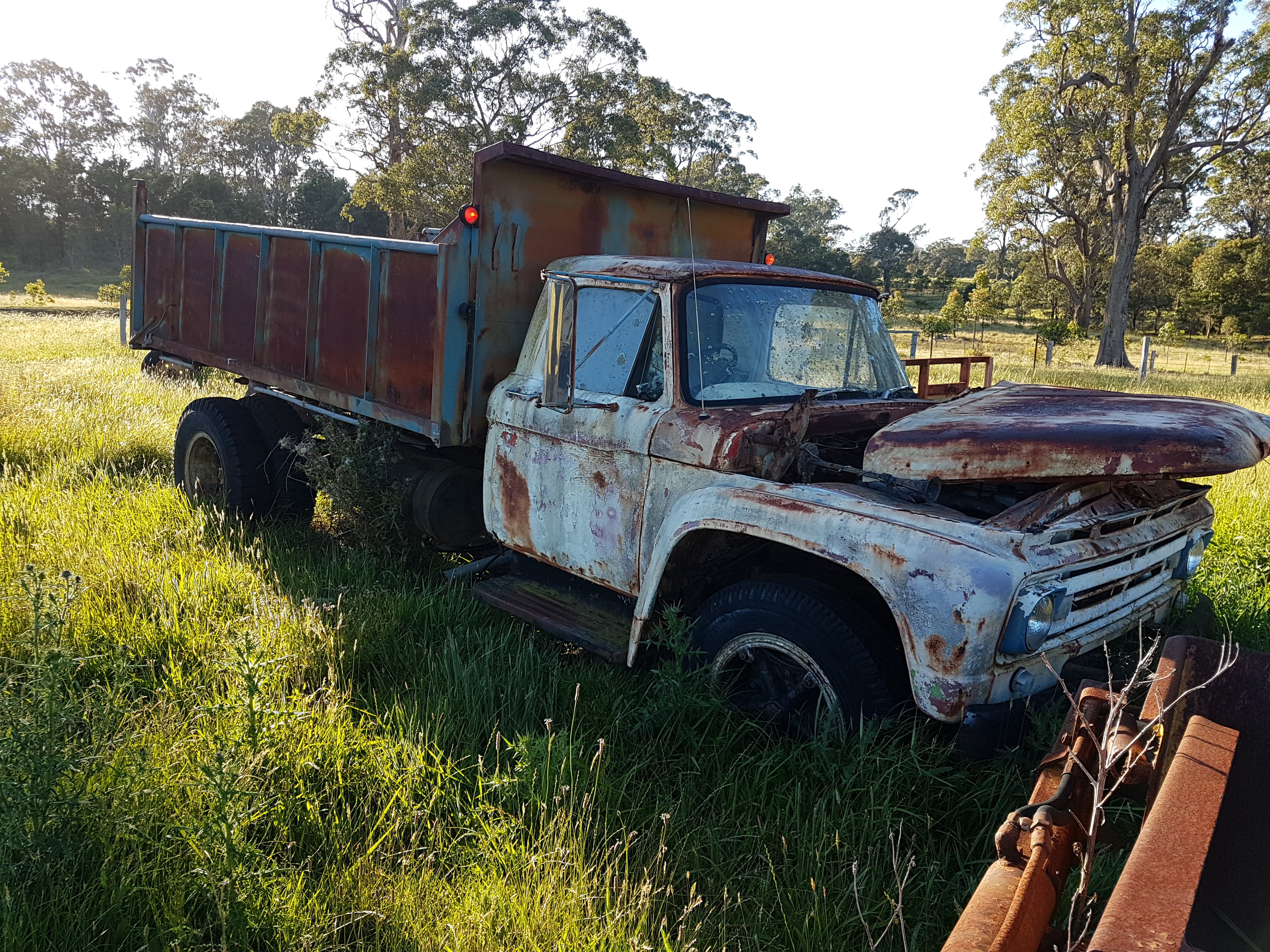 1964 FORD F600 TIPPER