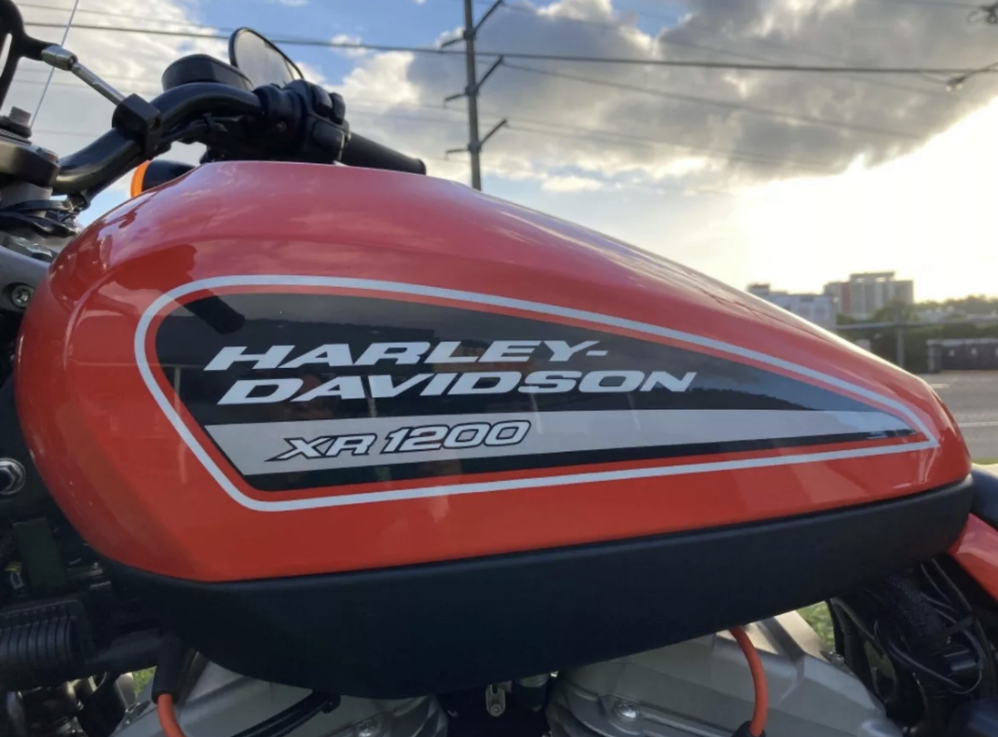 2009 HARLEY-DAVIDSON XR1200 CRUISER 