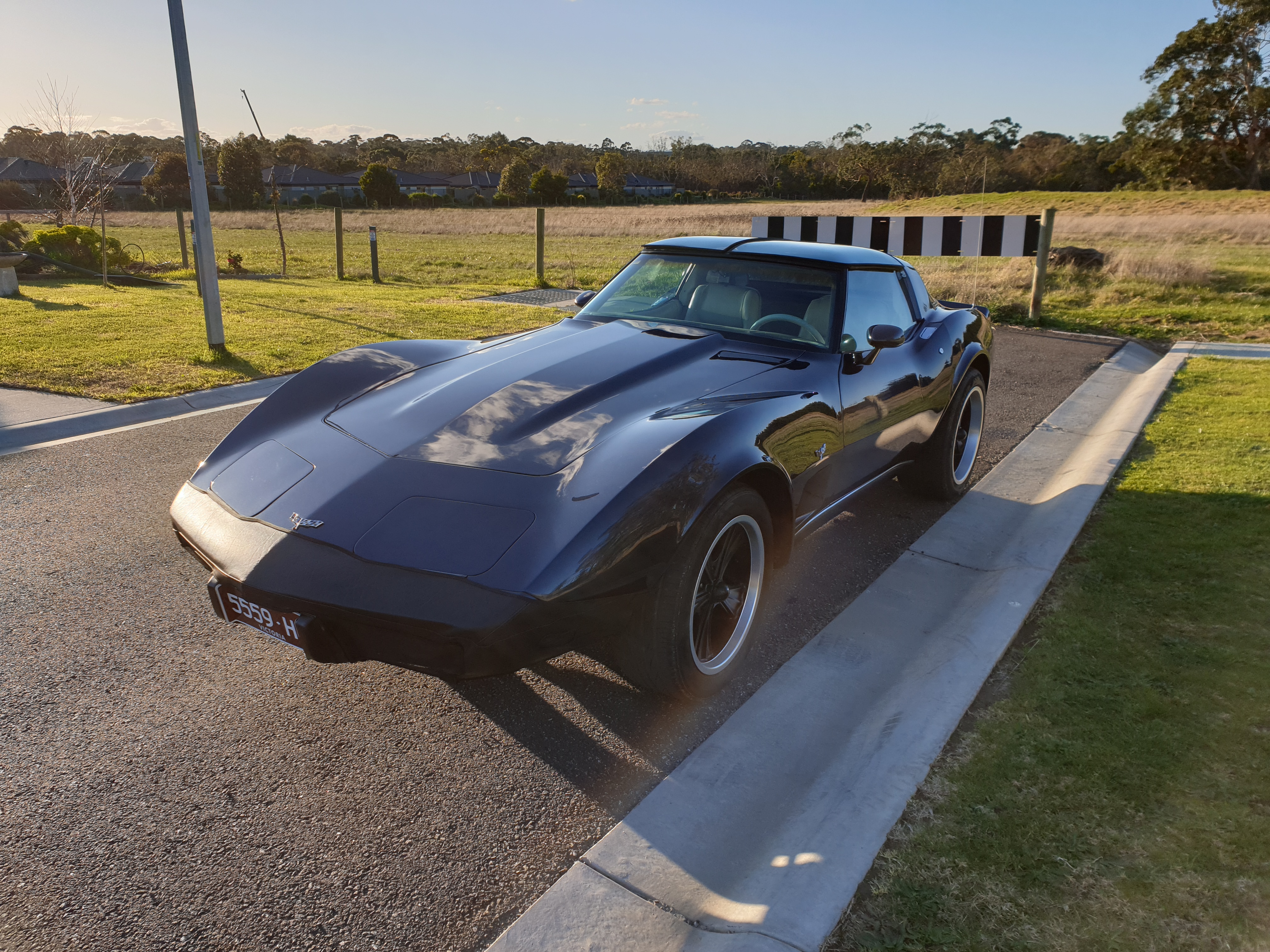 1979 CHEVROLET CORVETTE C3 TARGA TOP