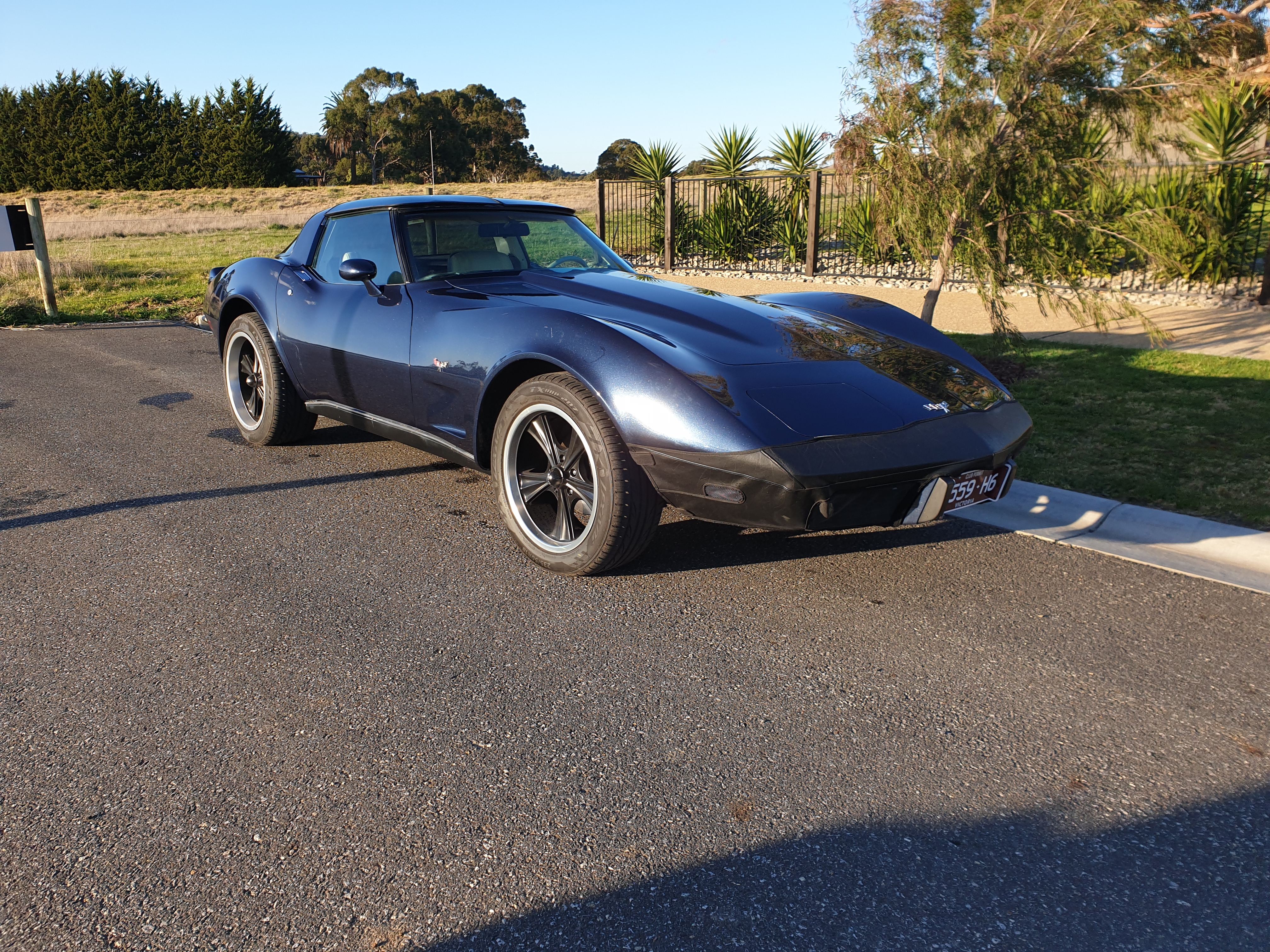 1979 CHEVROLET CORVETTE C3 TARGA TOP