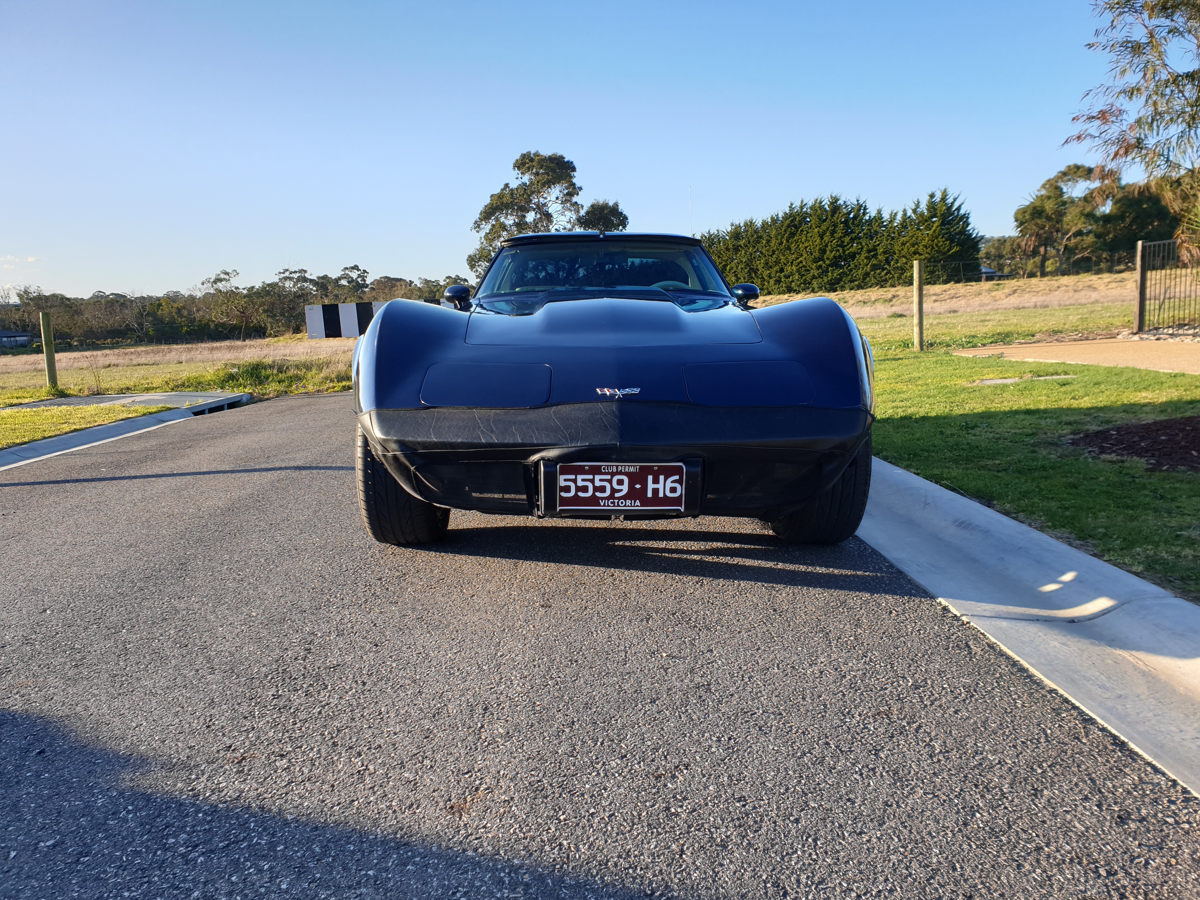 1979 CHEVROLET CORVETTE C3 TARGA TOP