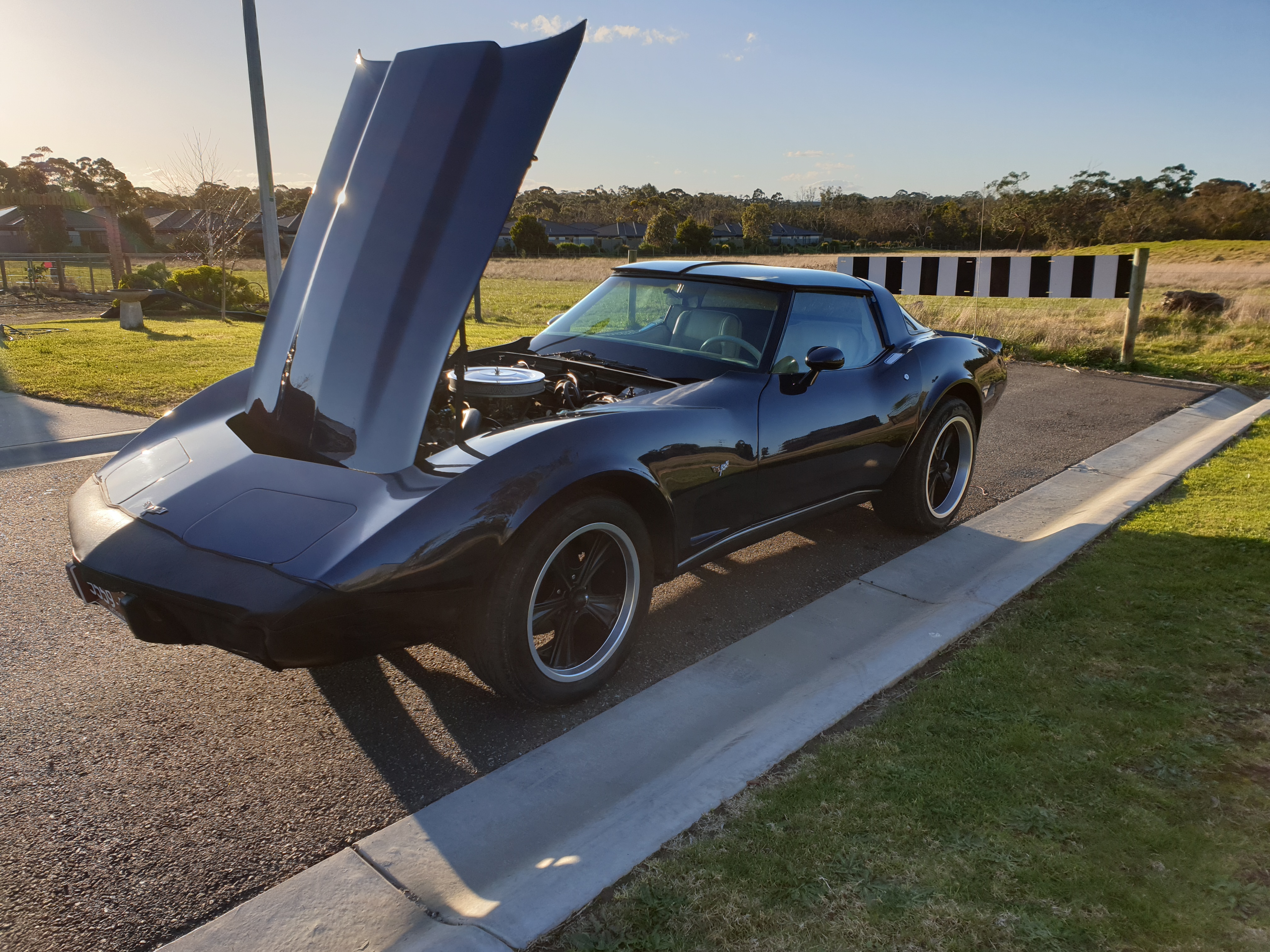 1979 CHEVROLET CORVETTE C3 TARGA TOP