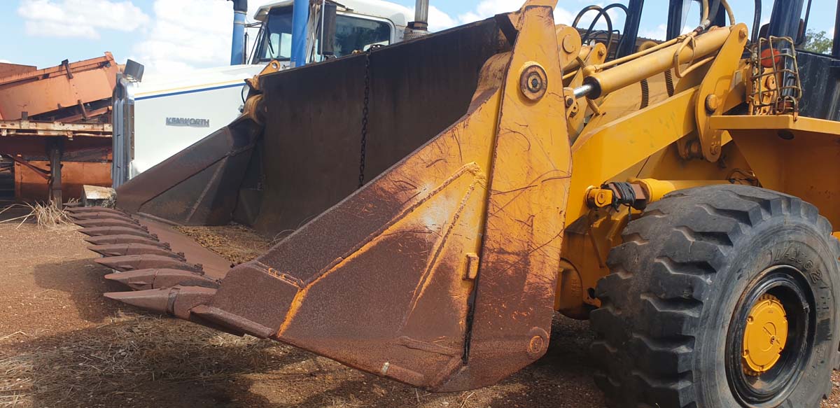 CASE W36 LOADER