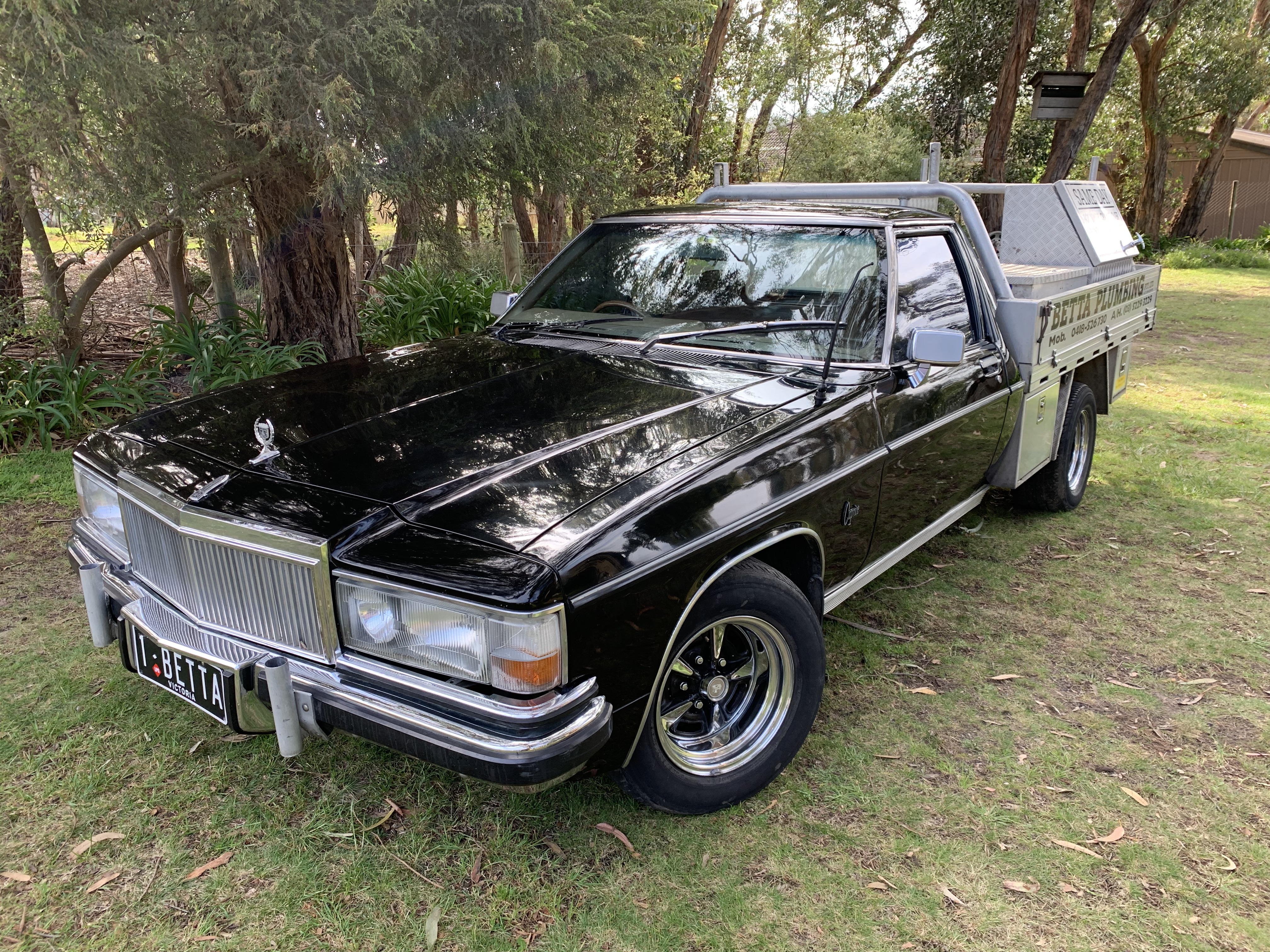 1984 HOLDEN WB 1 TONNER UTILITY