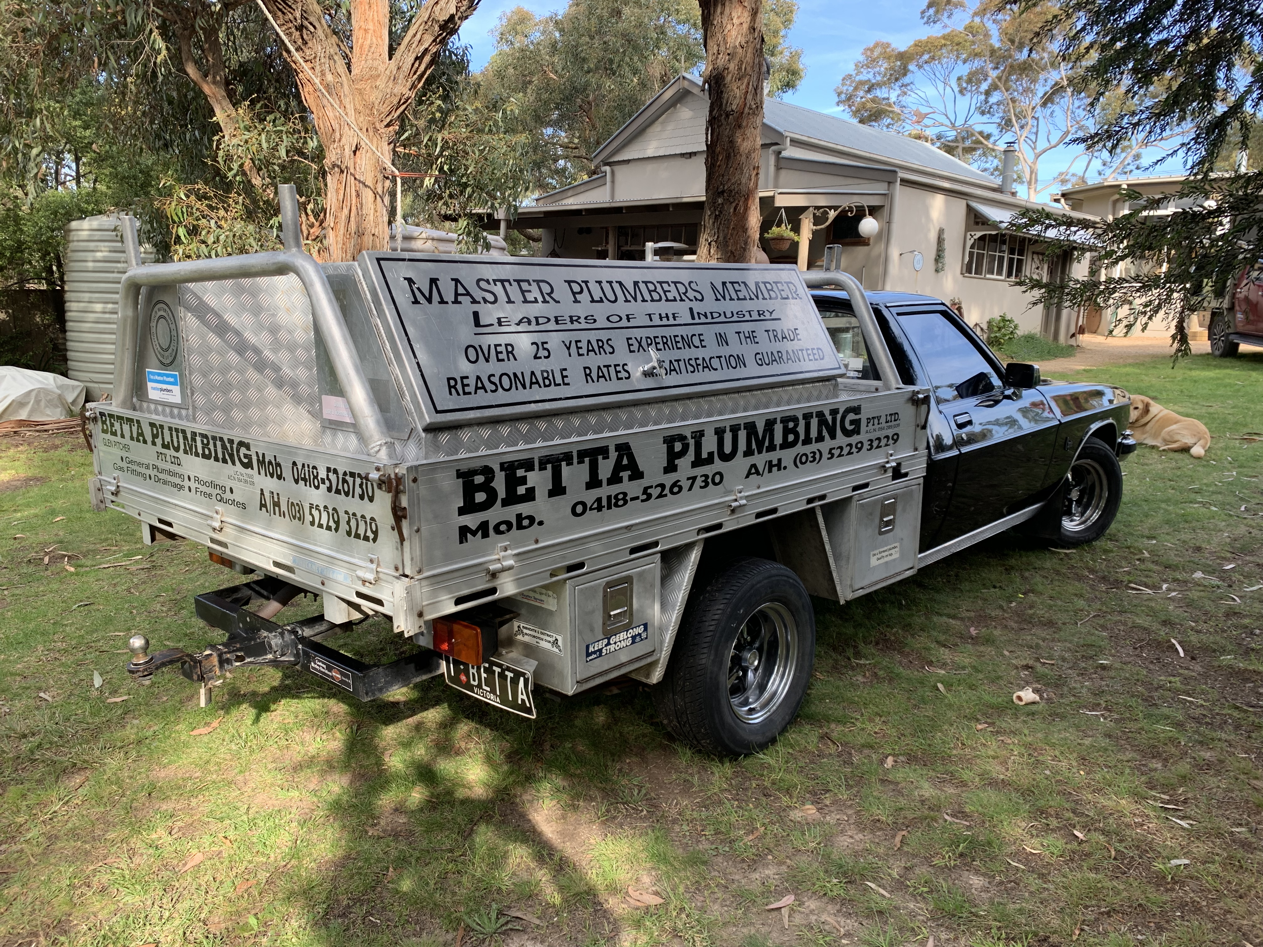 1984 HOLDEN WB 1 TONNER UTILITY 