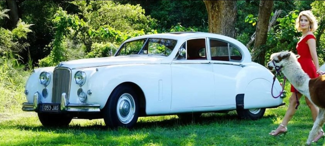 1953 JAGUAR MK VII SALOON