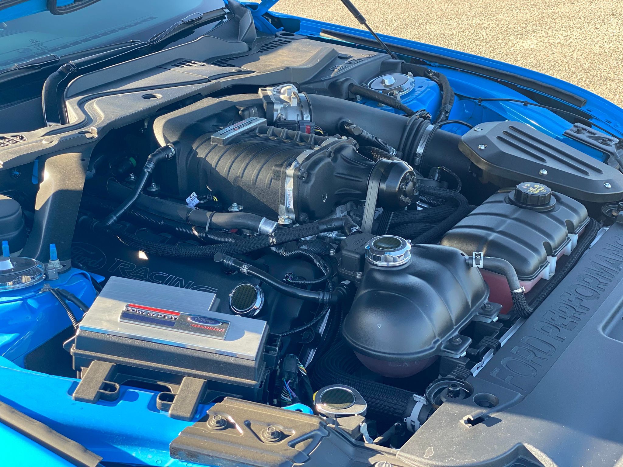 2017 FORD MUSTANG FM GT SUPERCHARGED FASTBACK 