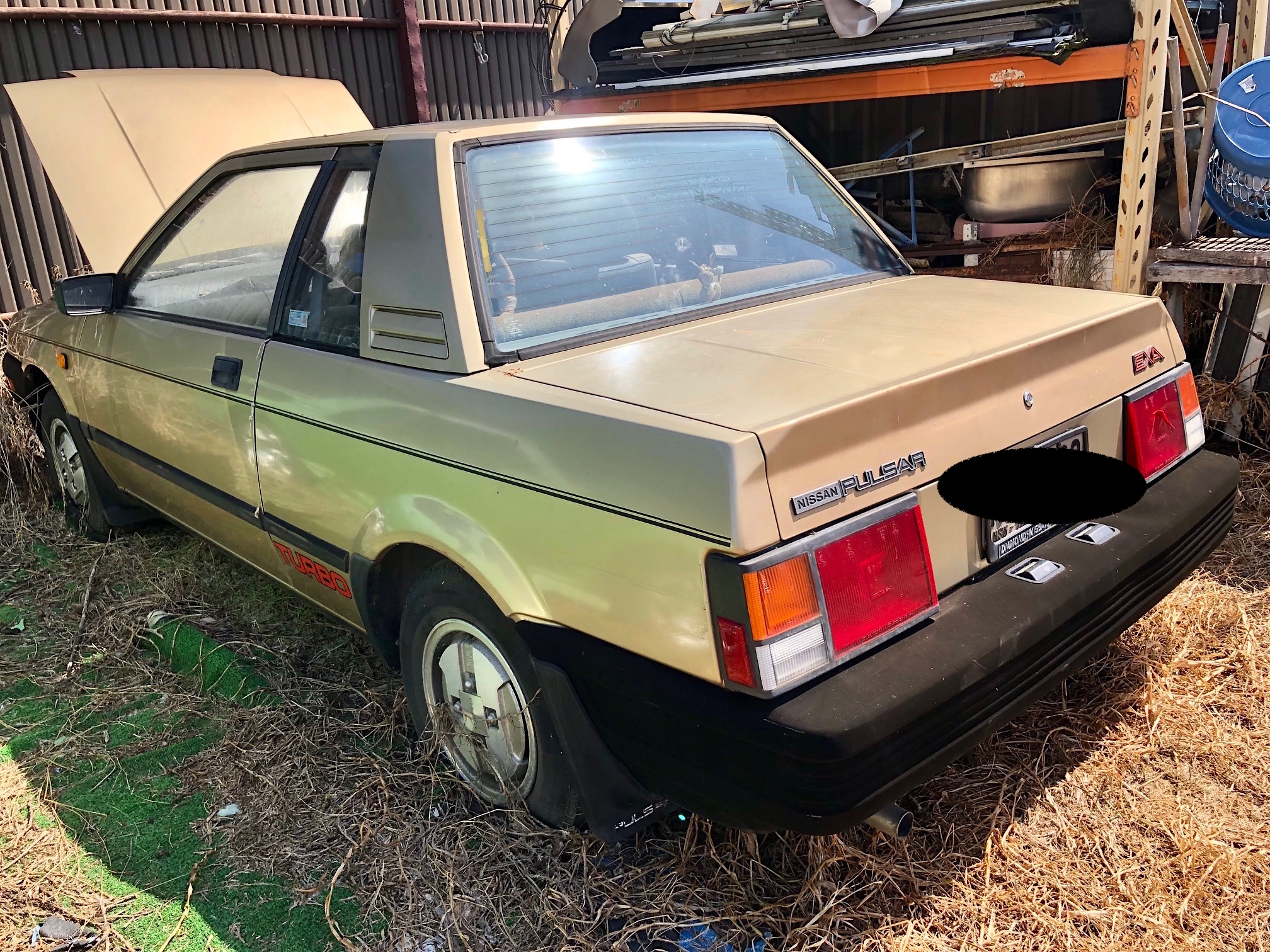 1984 NISSAN PULSAR EXA NOTCHBACK