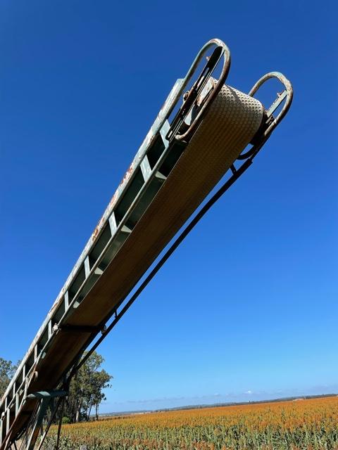 SBE 45FT BELT ELEVATOR