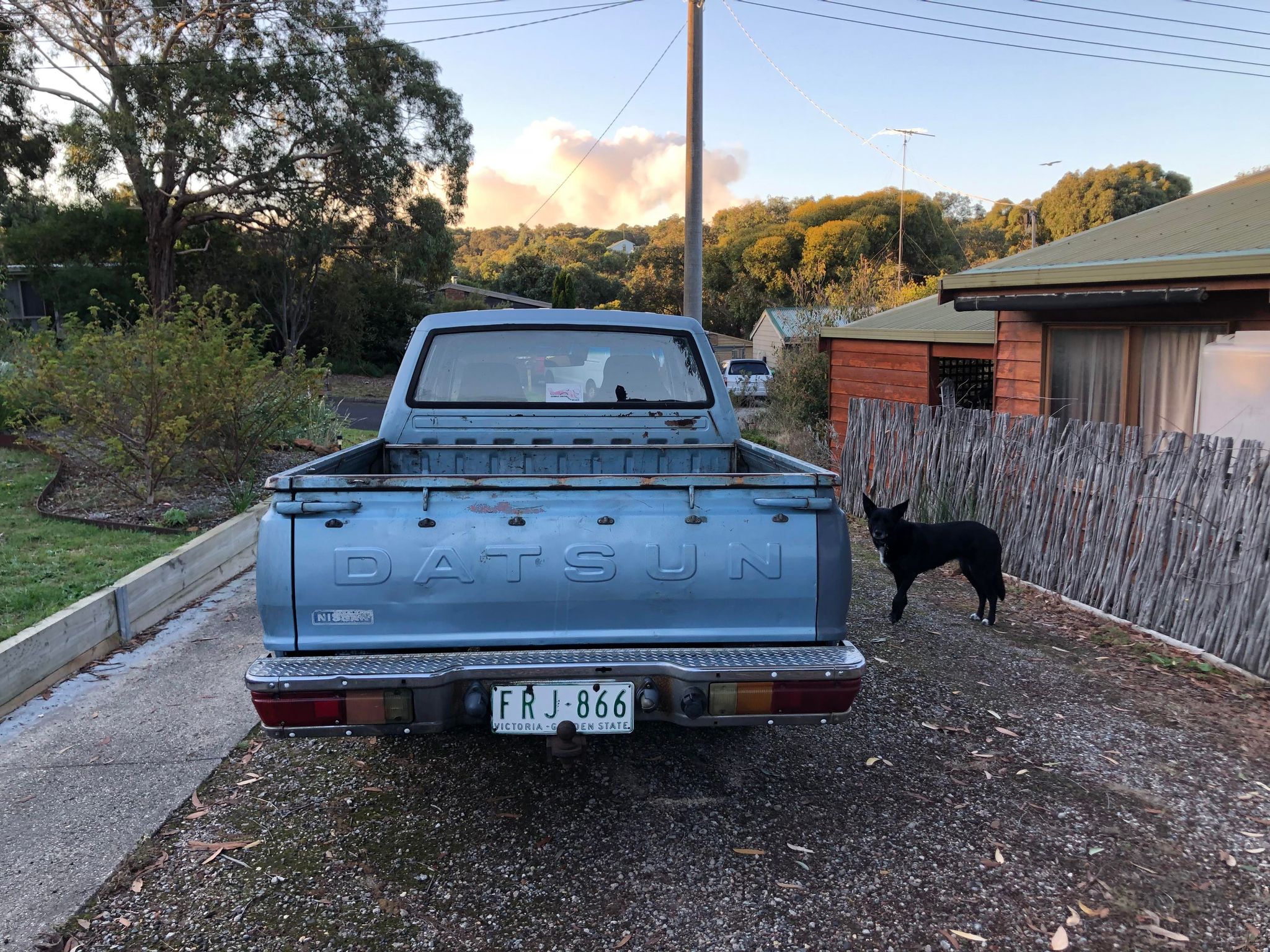 1982 DATSUN 720 PICK UP
