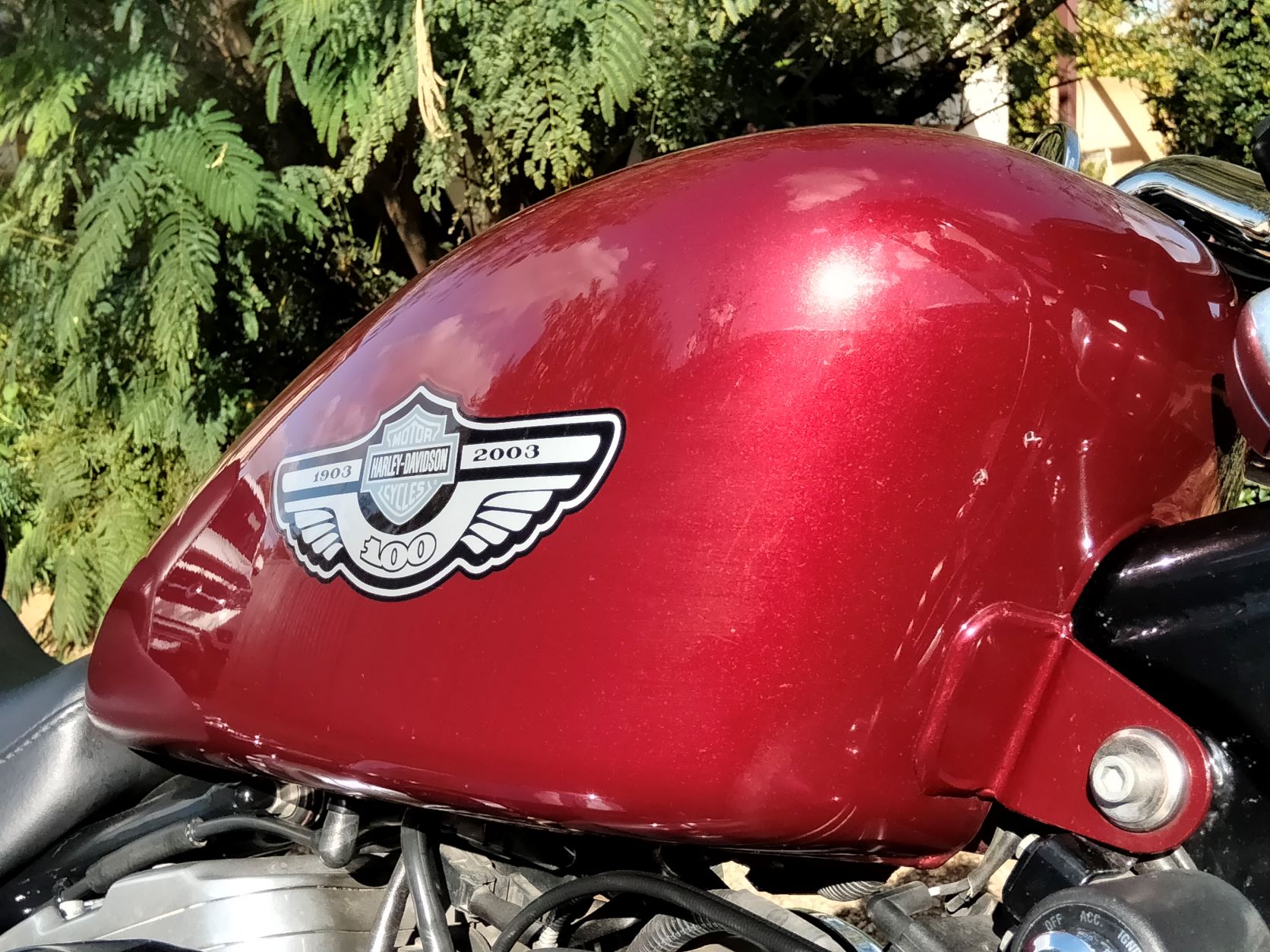 2003 HARLEY-DAVIDSON XLH883 SPORTSTER CRUISER 