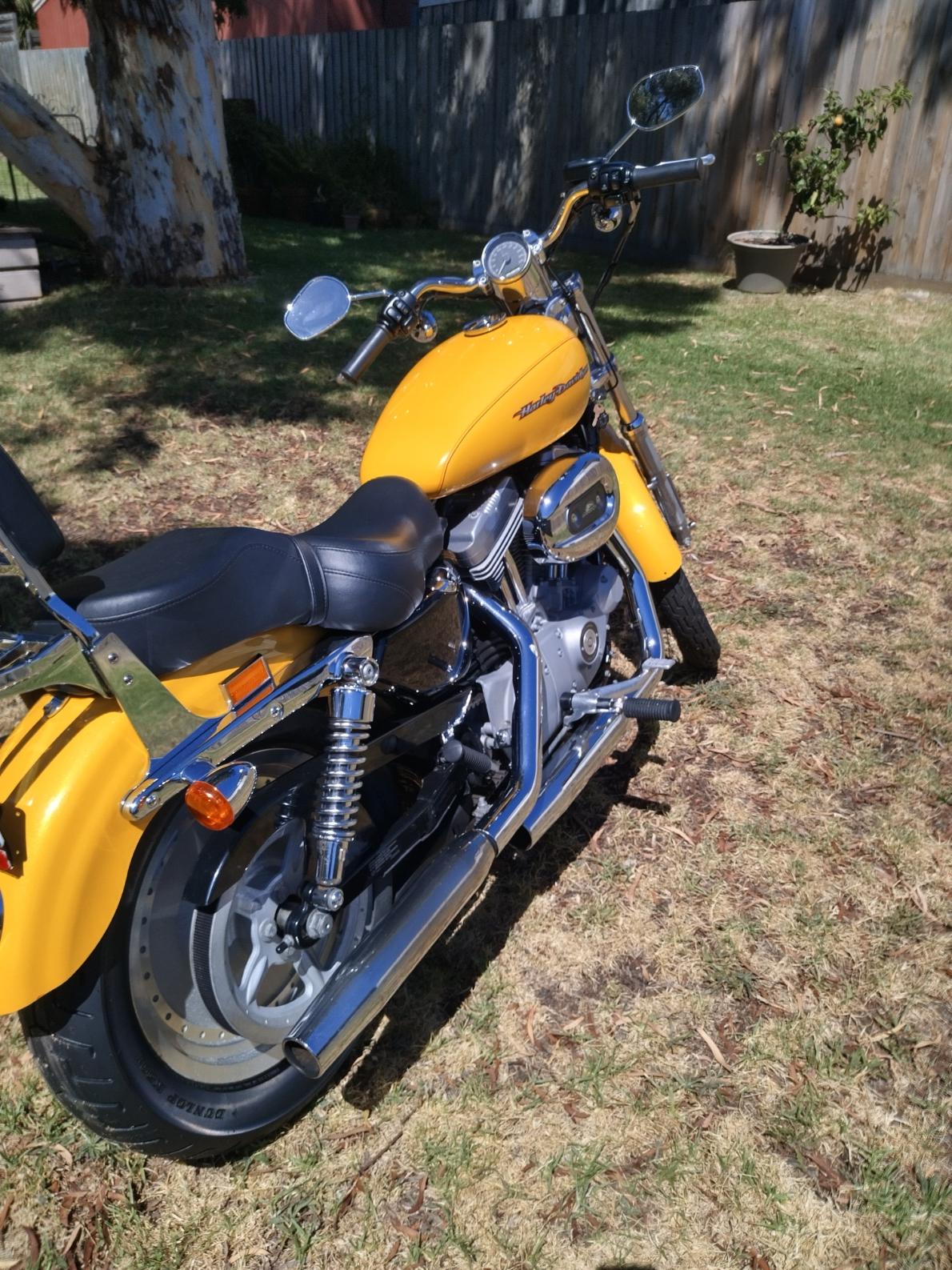 2005 HARLEY-DAVIDSON XLH883 SPORTSTER CRUISER 