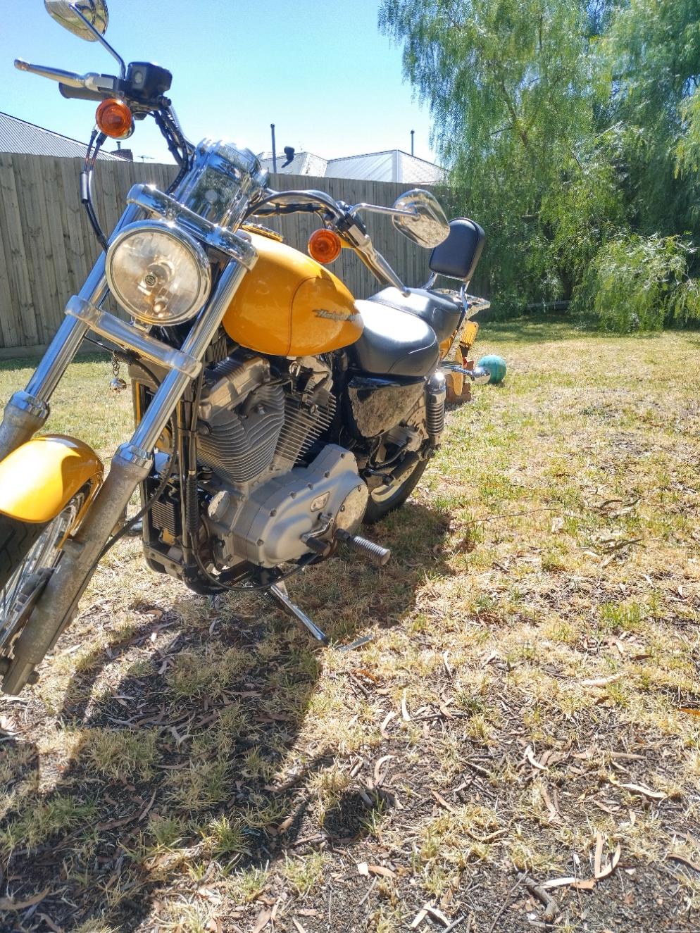2005 HARLEY-DAVIDSON XLH883 SPORTSTER CRUISER 