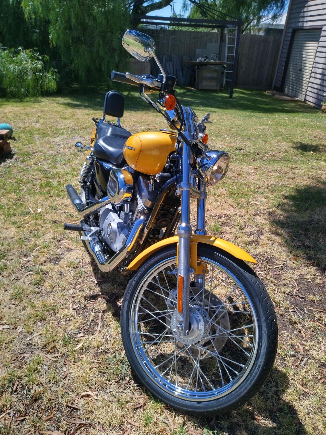 2005 HARLEY-DAVIDSON XLH883 SPORTSTER CRUISER 