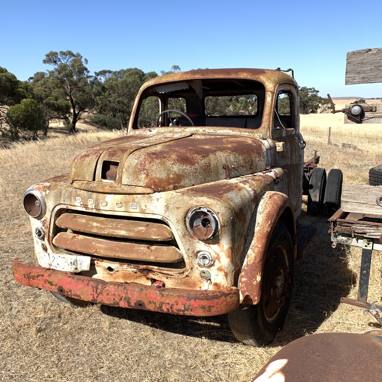 1955 DODGE TRUCK