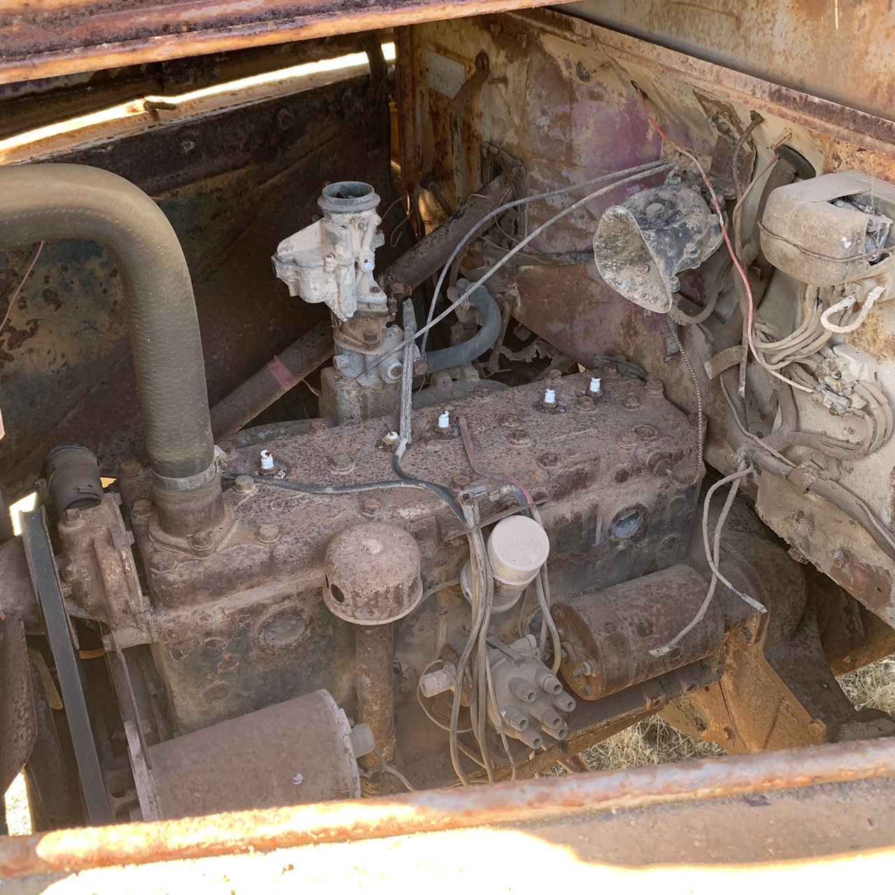 1955 DODGE TRUCK