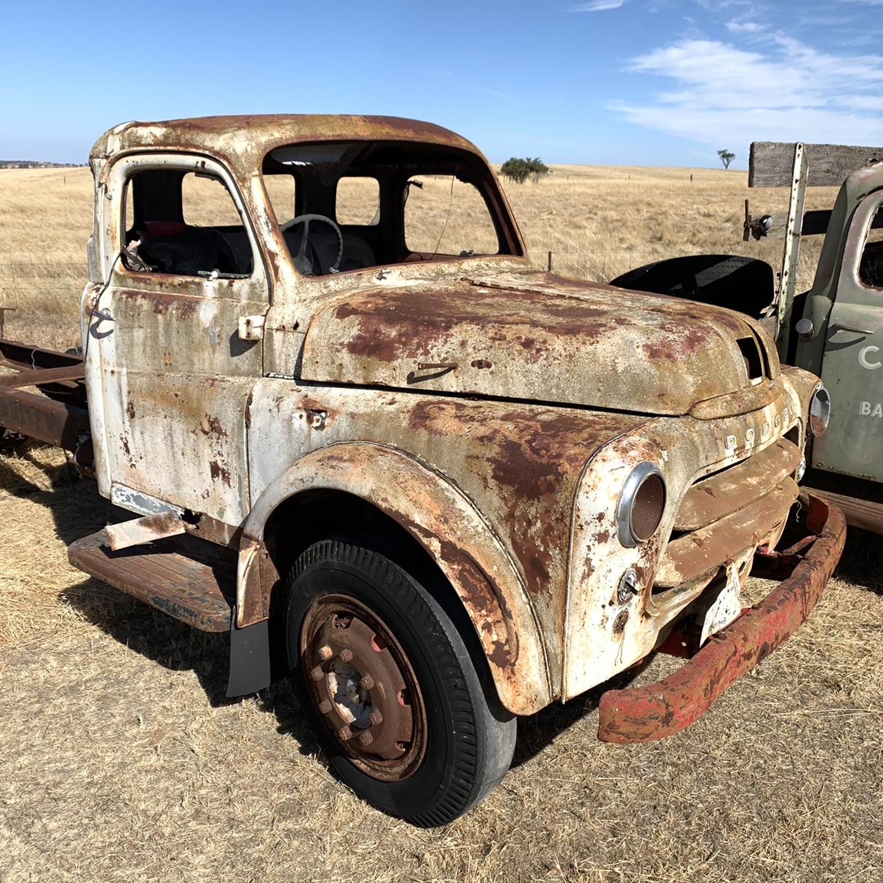 1955 DODGE TRUCK