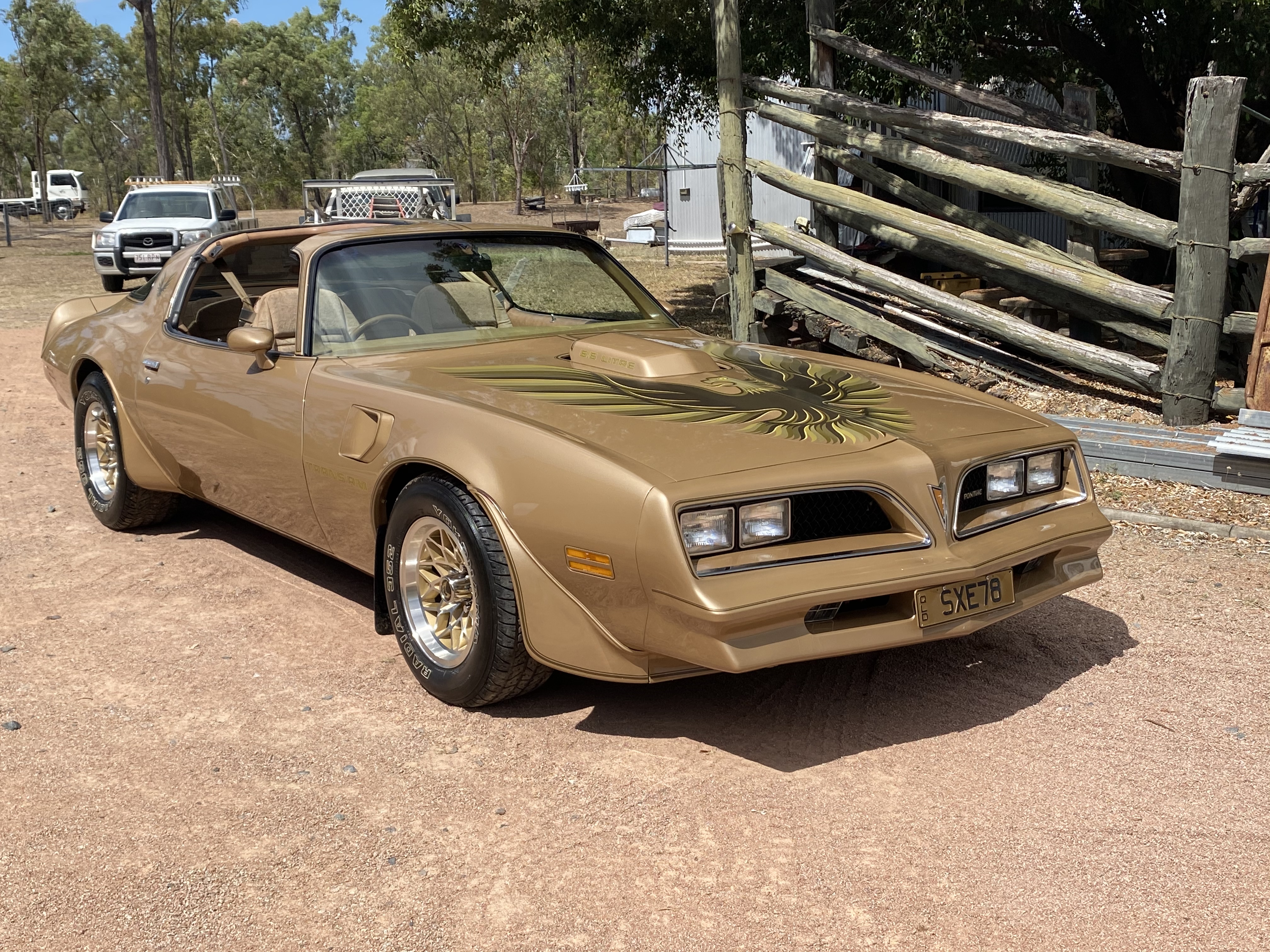 1978 PONTIAC FIREBIRD TRANS AM SE GOLD COUPE 