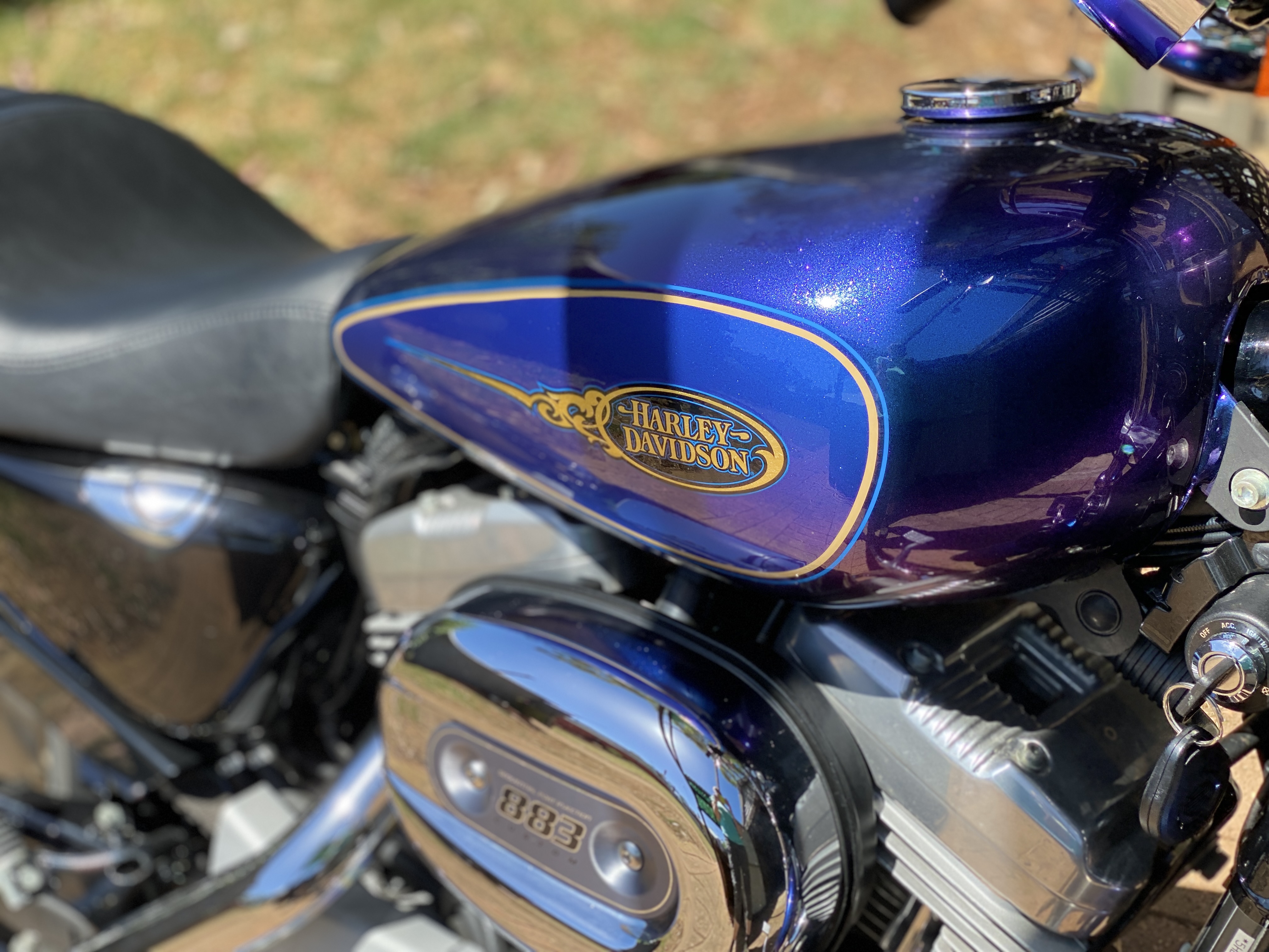 2009 HARLEY-DAVIDSON XL883C SPORTSTER CUSTOM CRUISER