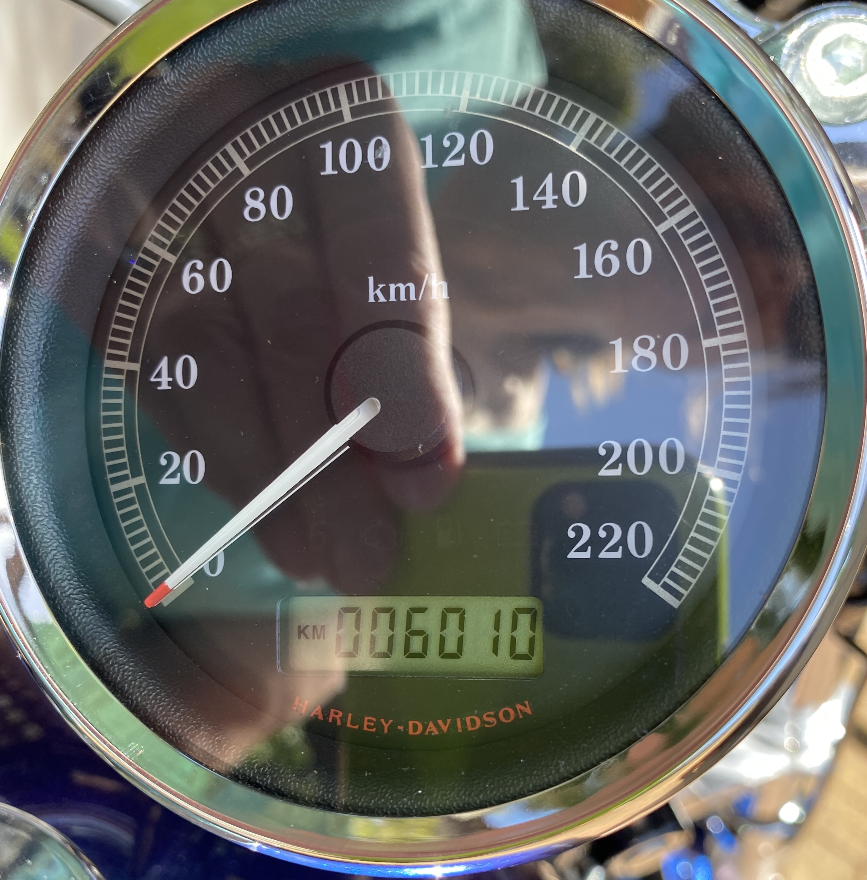 2009 HARLEY-DAVIDSON XL883C SPORTSTER CUSTOM CRUISER