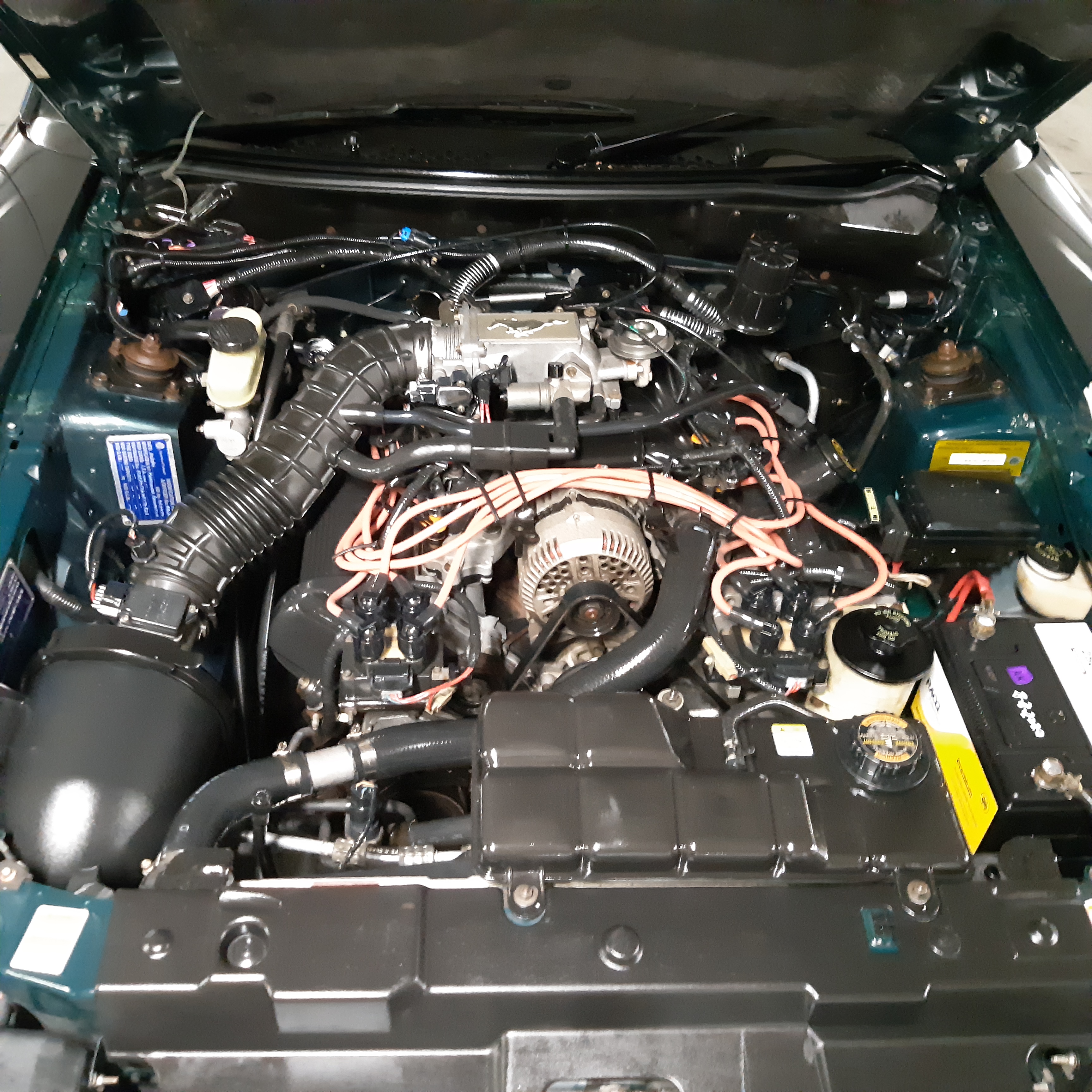 1998 MUSTANG GT V8 CONVERTIBLE