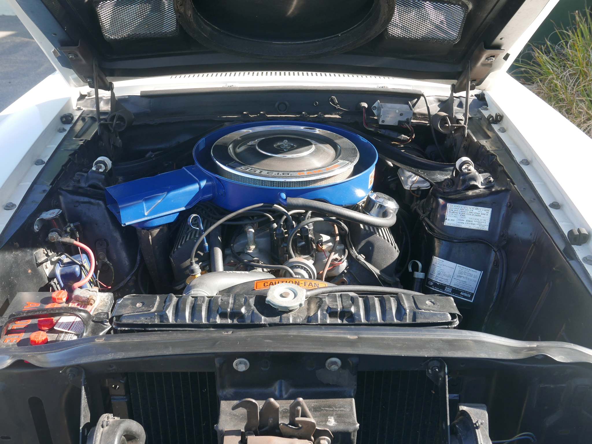 1970 FORD MUSTANG SHELBY GT350 AUTOMATIC FASTBACK