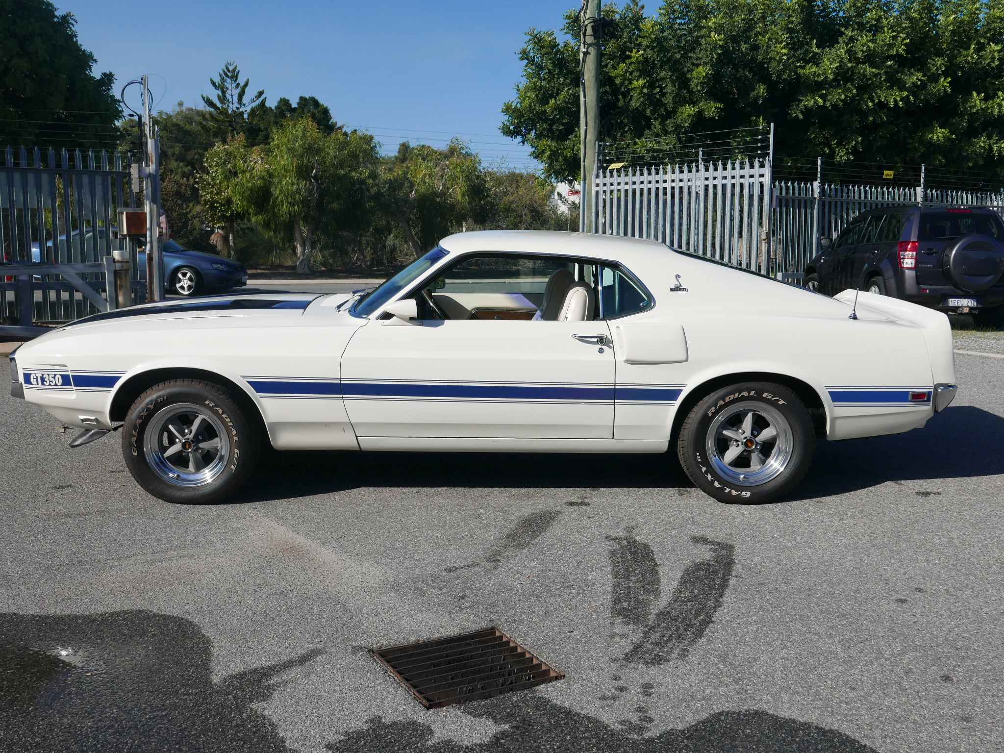 1970 FORD MUSTANG SHELBY GT350 AUTOMATIC FASTBACK