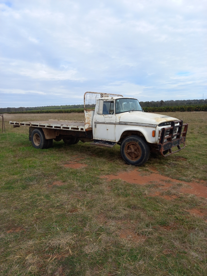 1960 DODGE 600 SERIES D5N TRAY