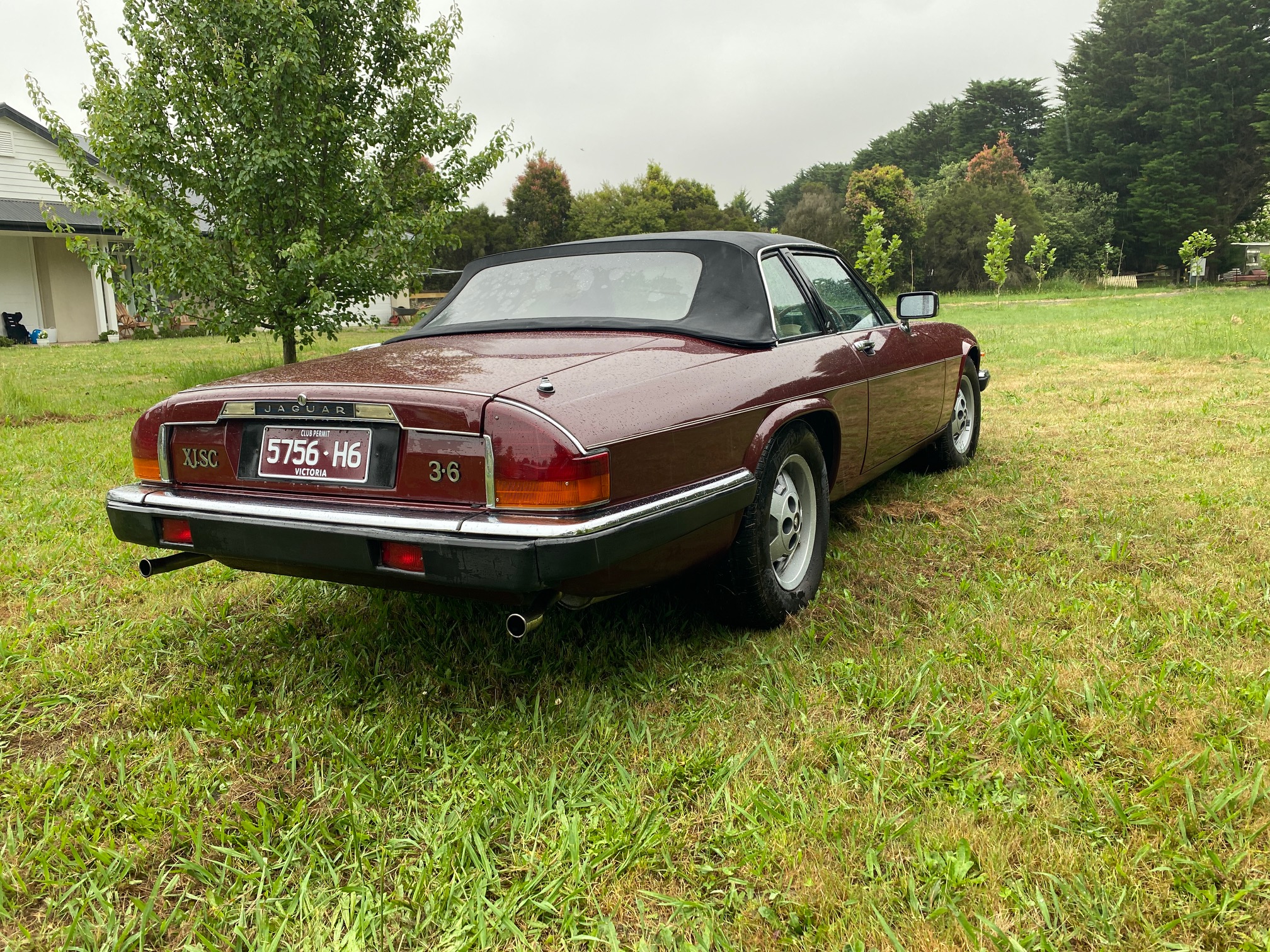 1985 JAGUAR XJS-C CABRIOLET